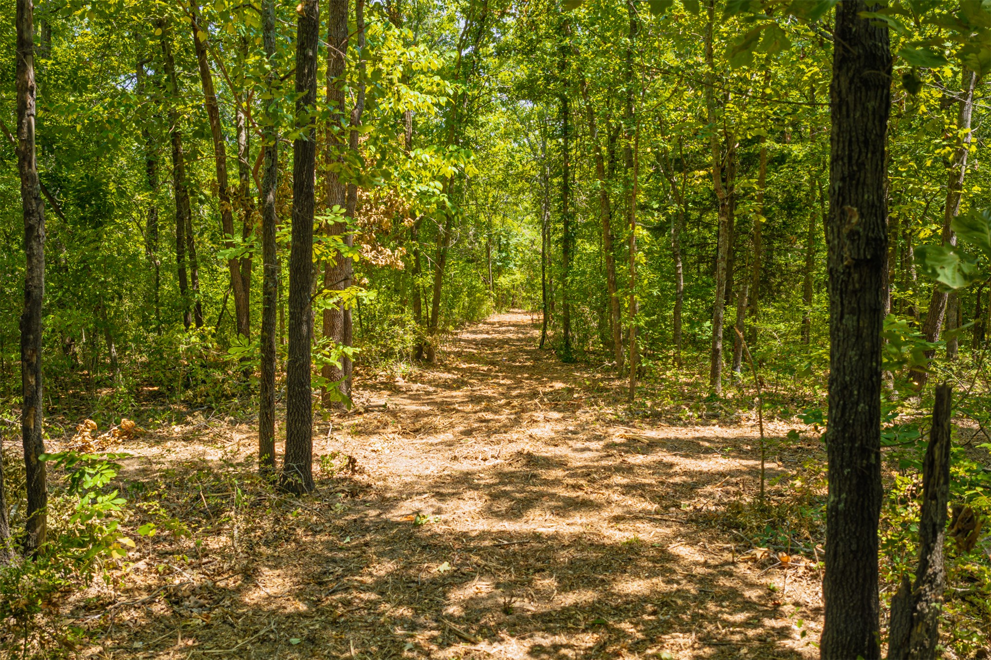 003 N 364 Road Property Photo 7
