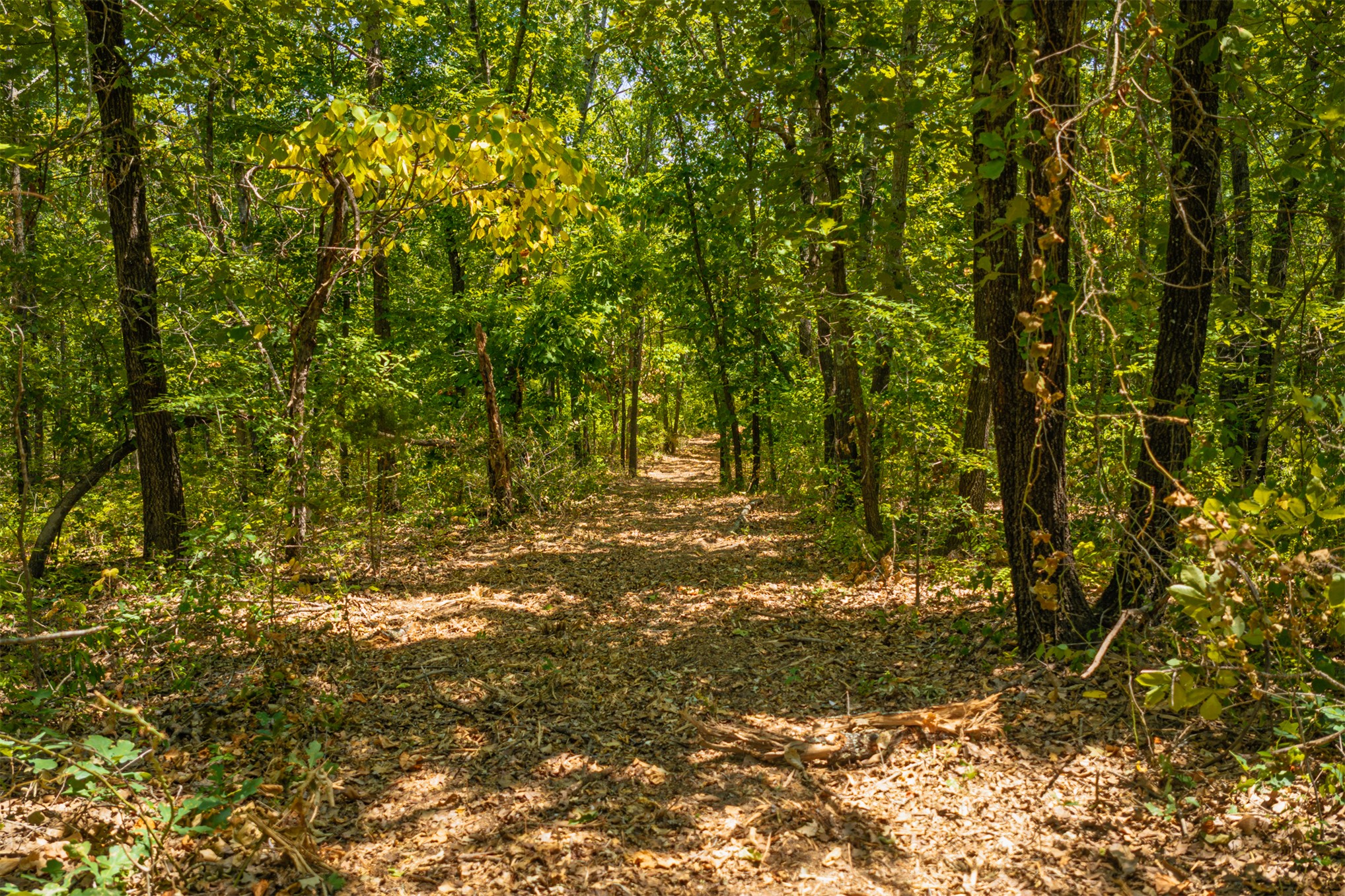 003 N 364 Road Property Photo 9