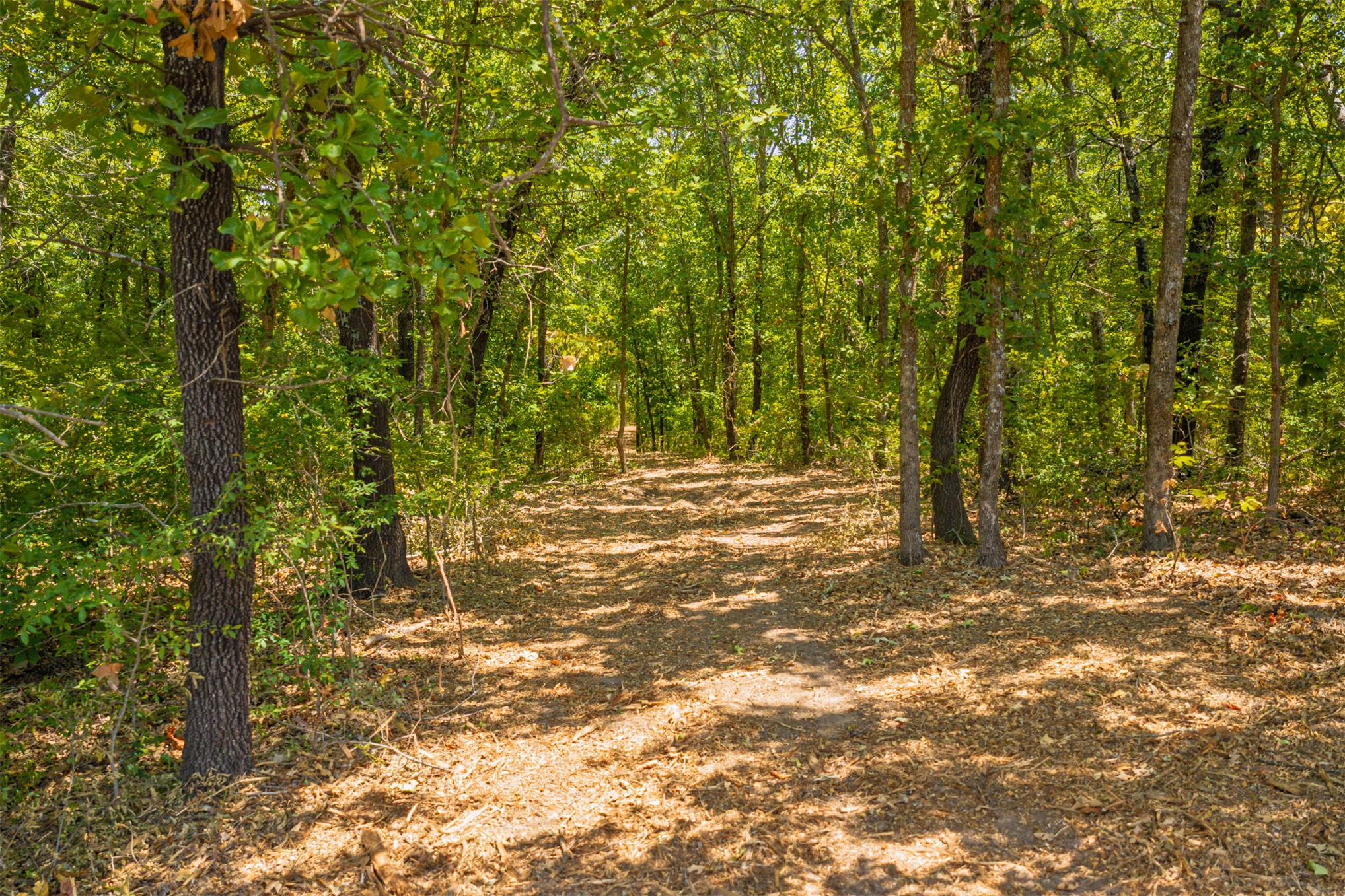 003 N 364 Road Property Photo 10