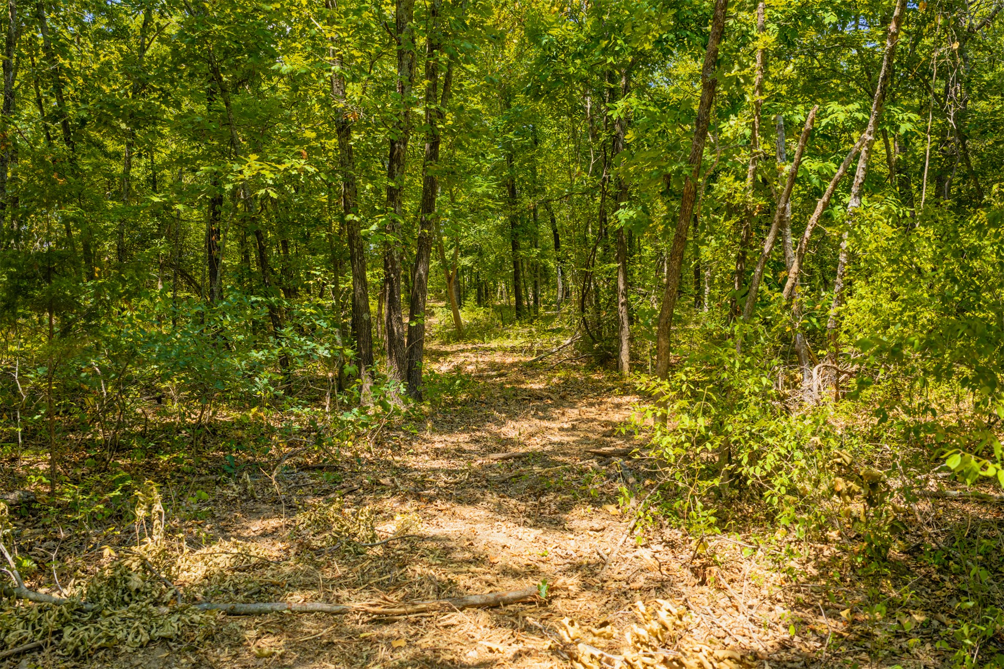 003 N 364 Road Property Photo 11