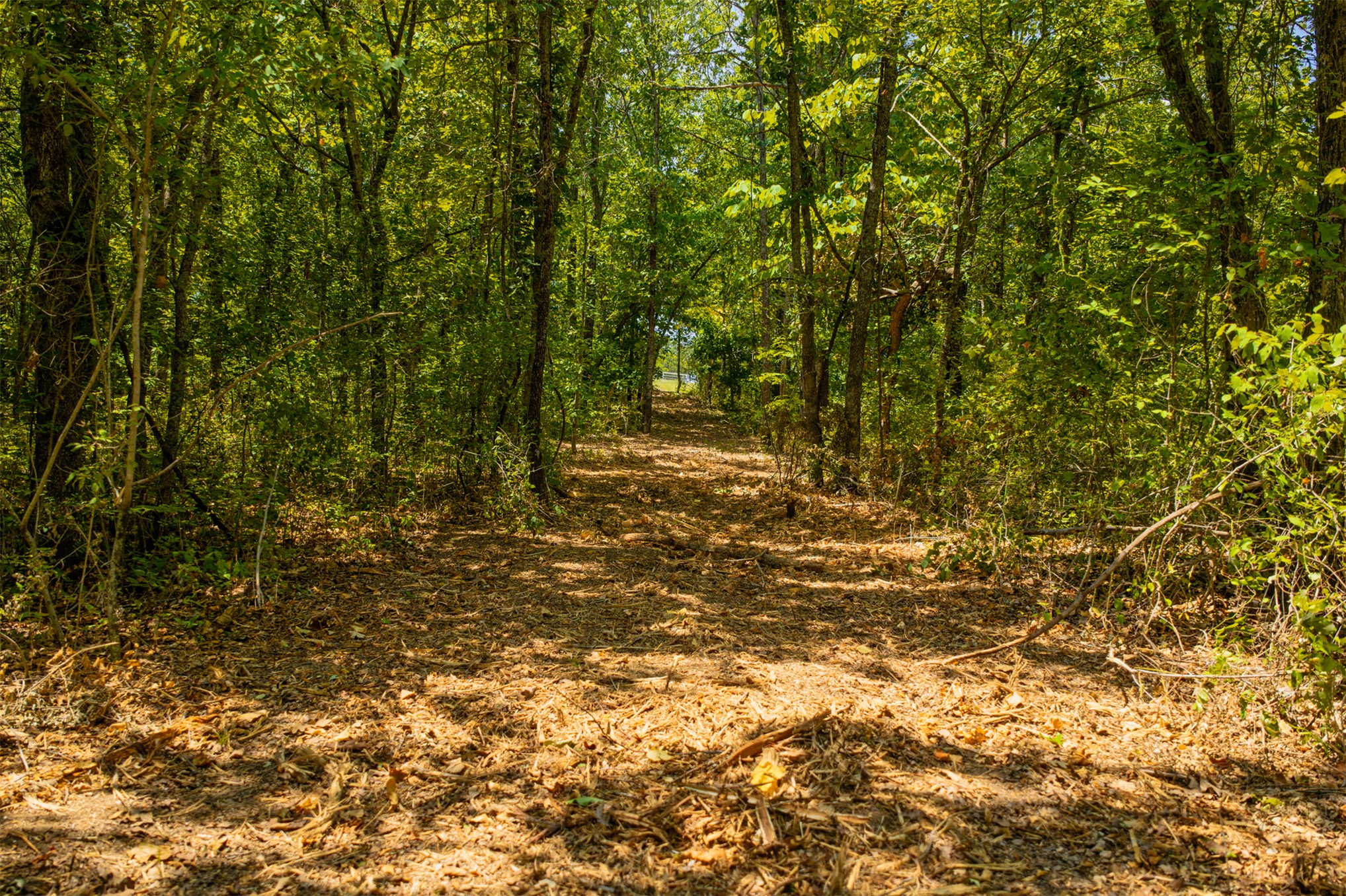 003 N 364 Road Property Photo 13