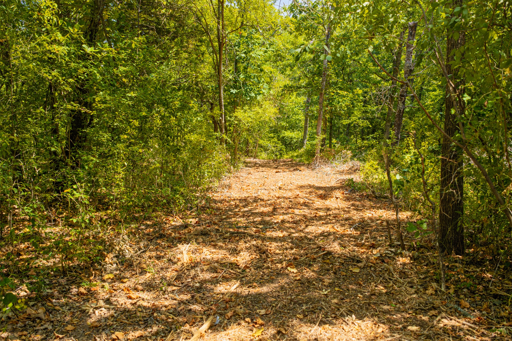 003 N 364 Road Property Photo 14