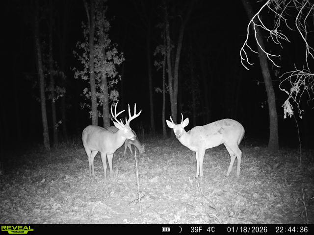 003 N 364 Road Property Photo 17
