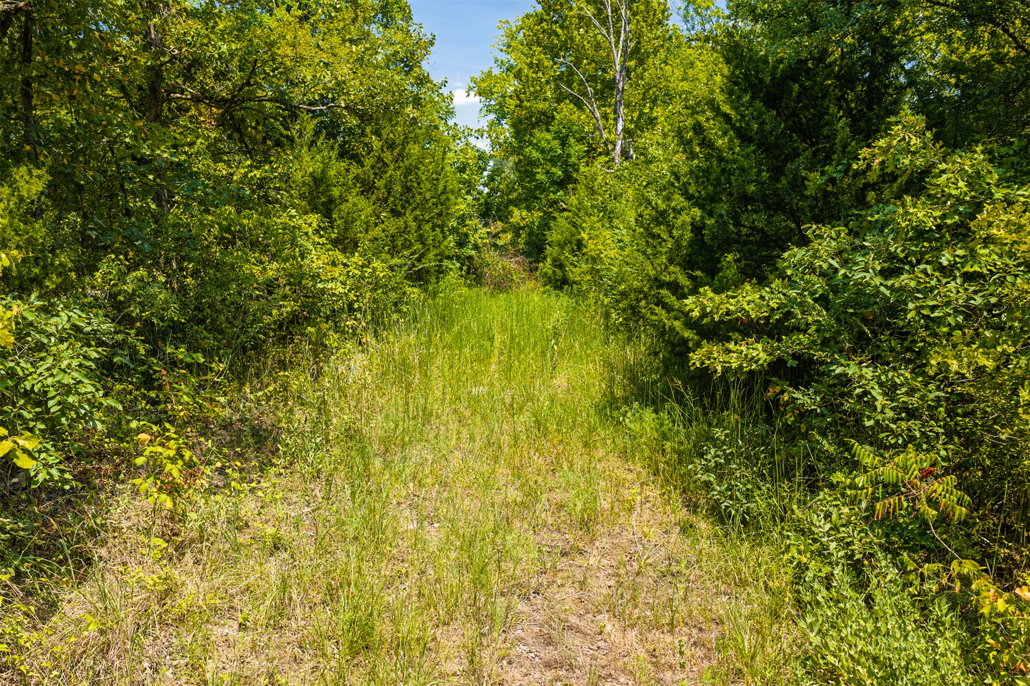 001 N 364 Road Property Photo 11