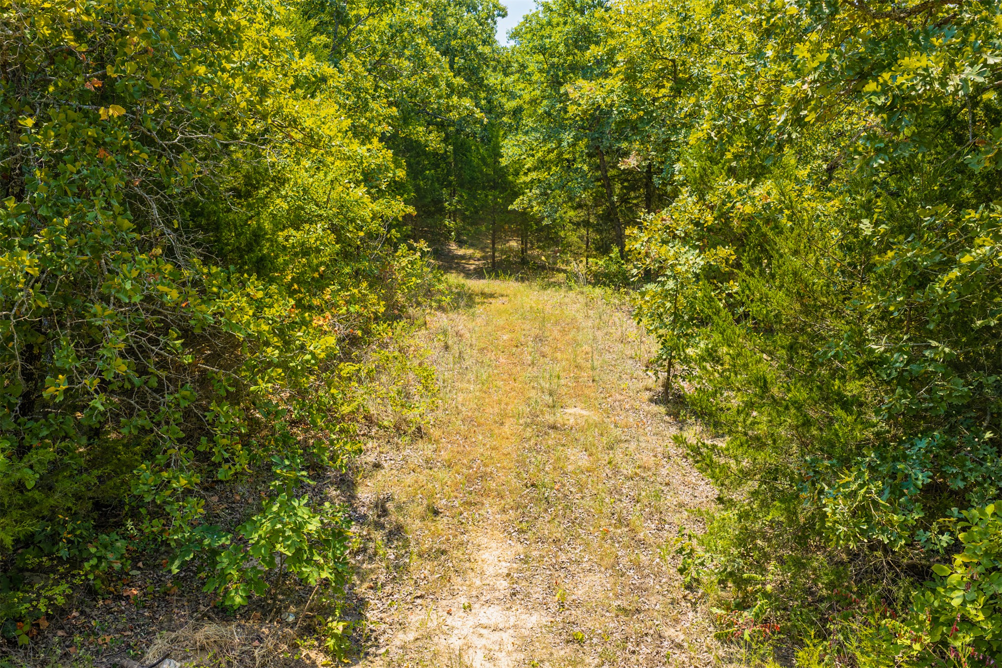 001 N 364 Road Property Photo 15