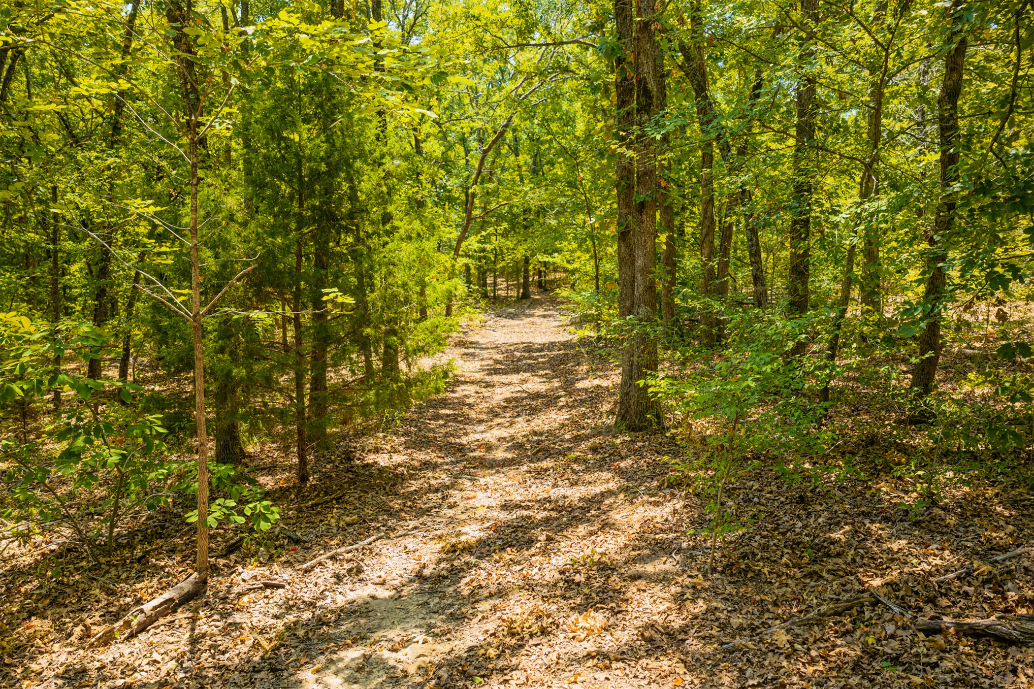 001 N 364 Road Property Photo 16