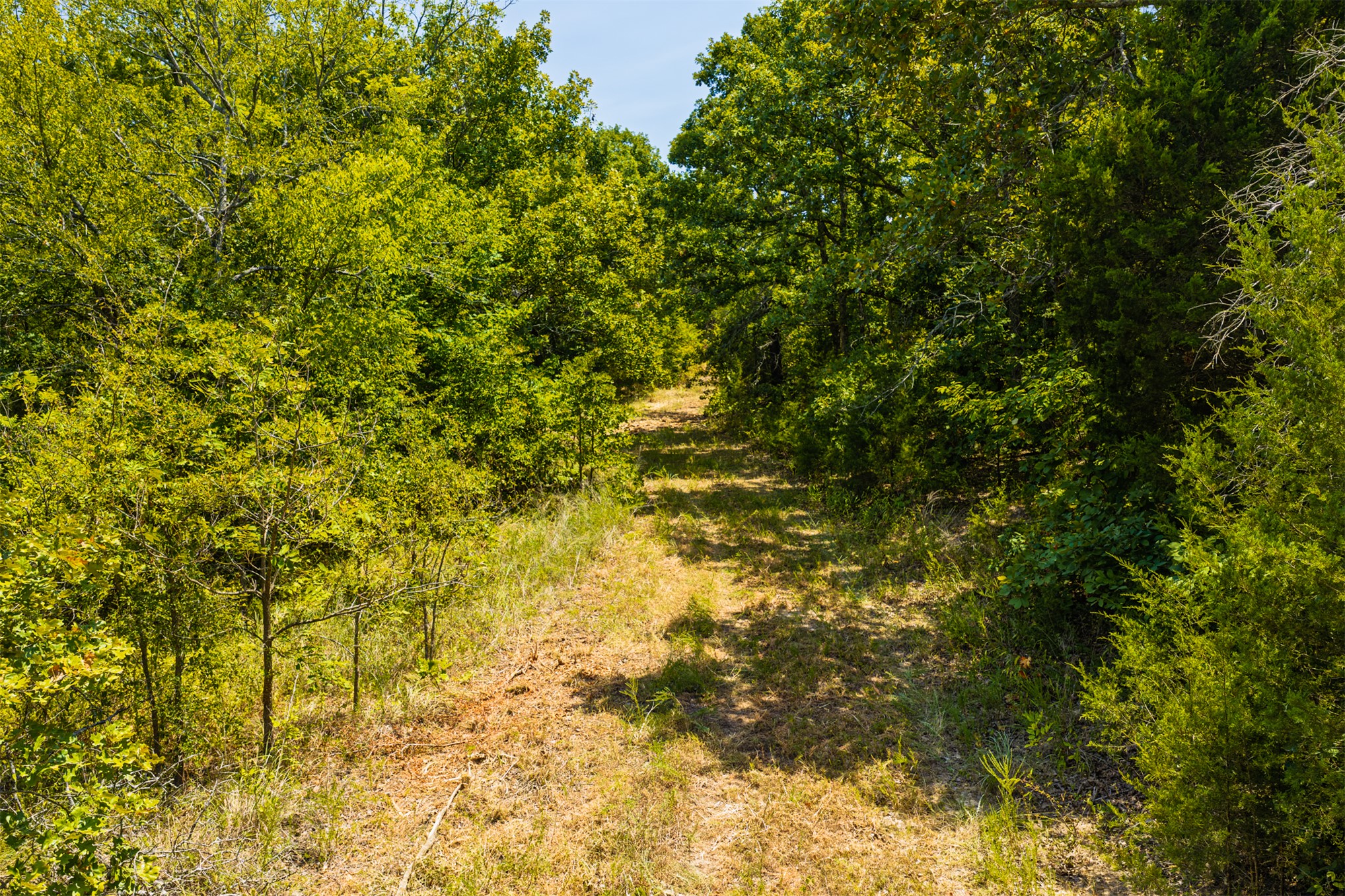 001 N 364 Road Property Photo 17
