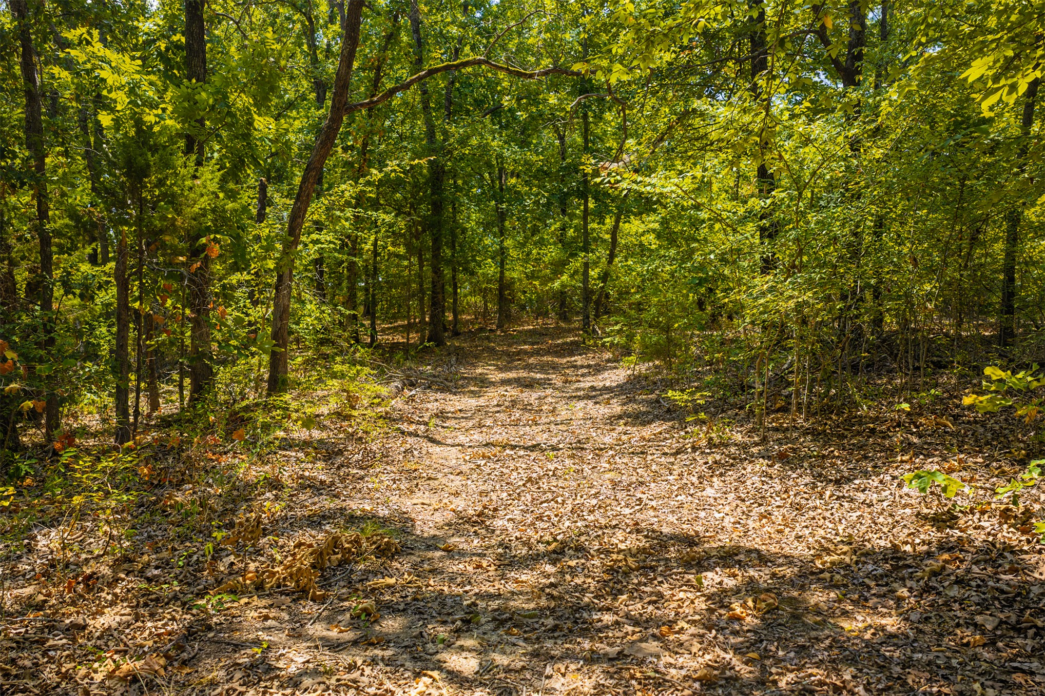 001 N 364 Road Property Photo 18