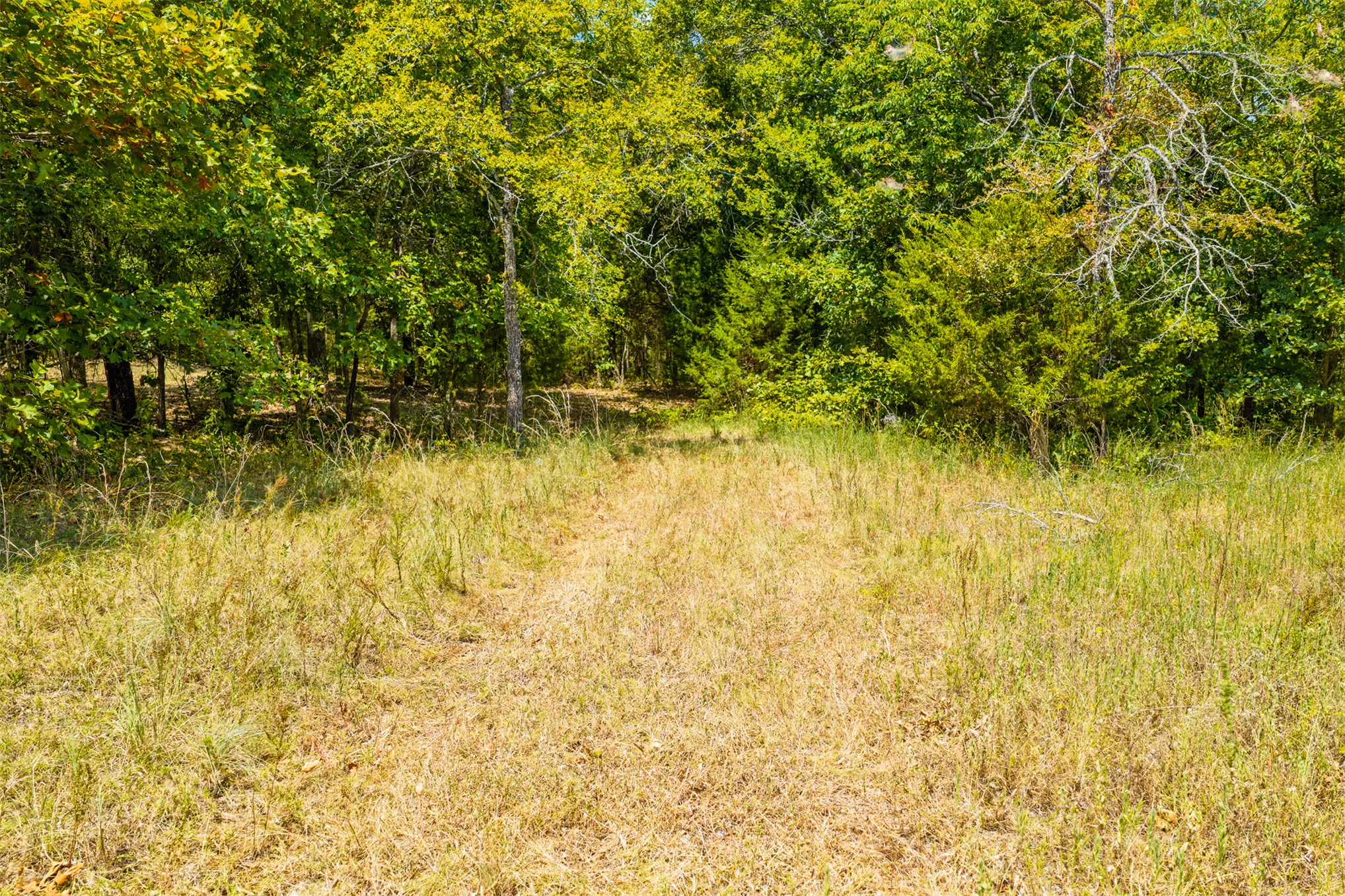 001 N 364 Road Property Photo 20