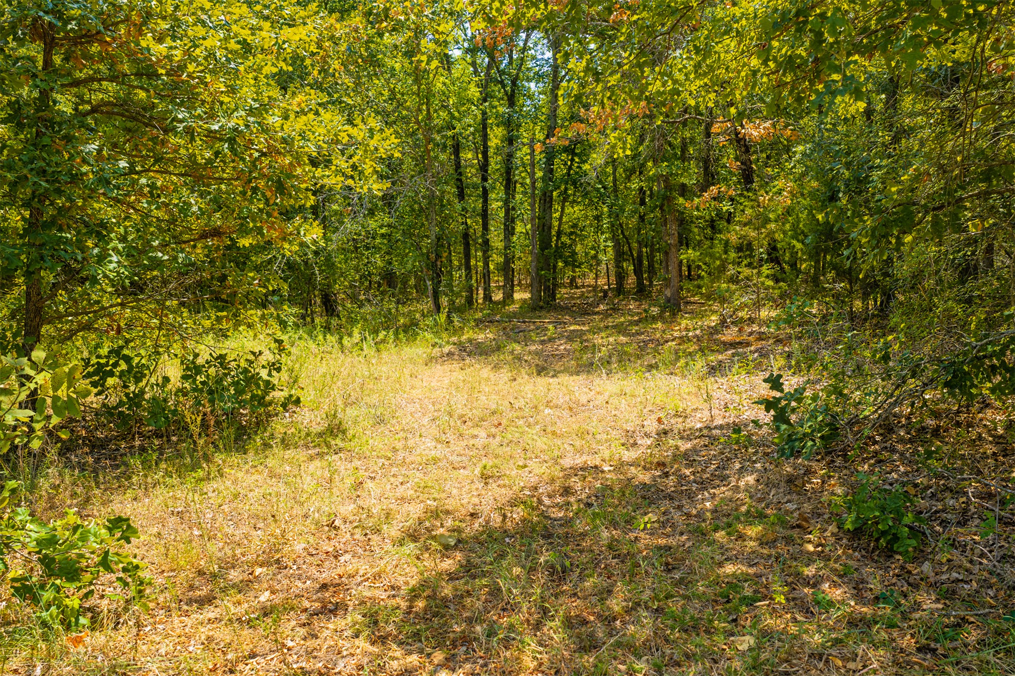 001 N 364 Road Property Photo 28