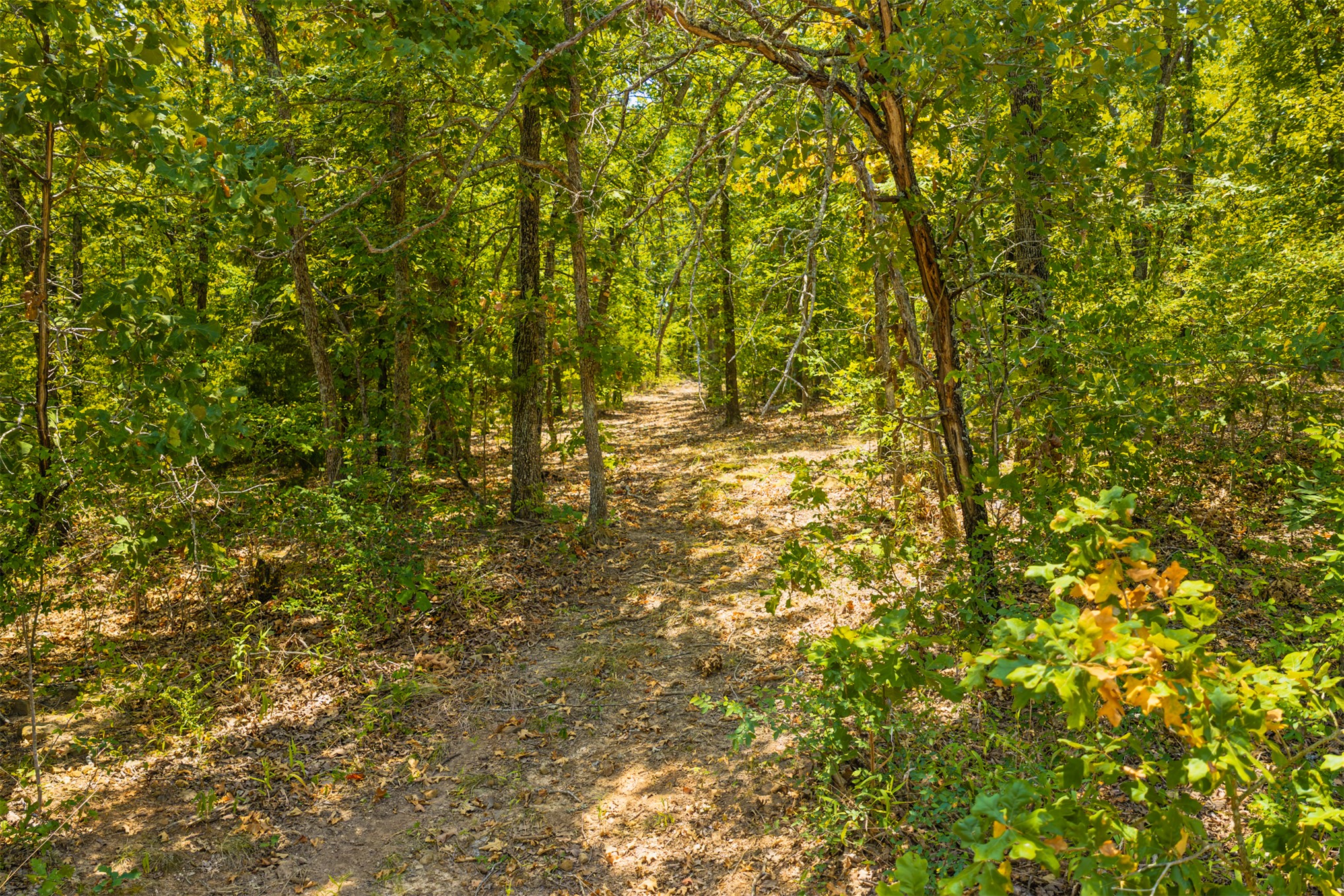 001 N 364 Road Property Photo 35