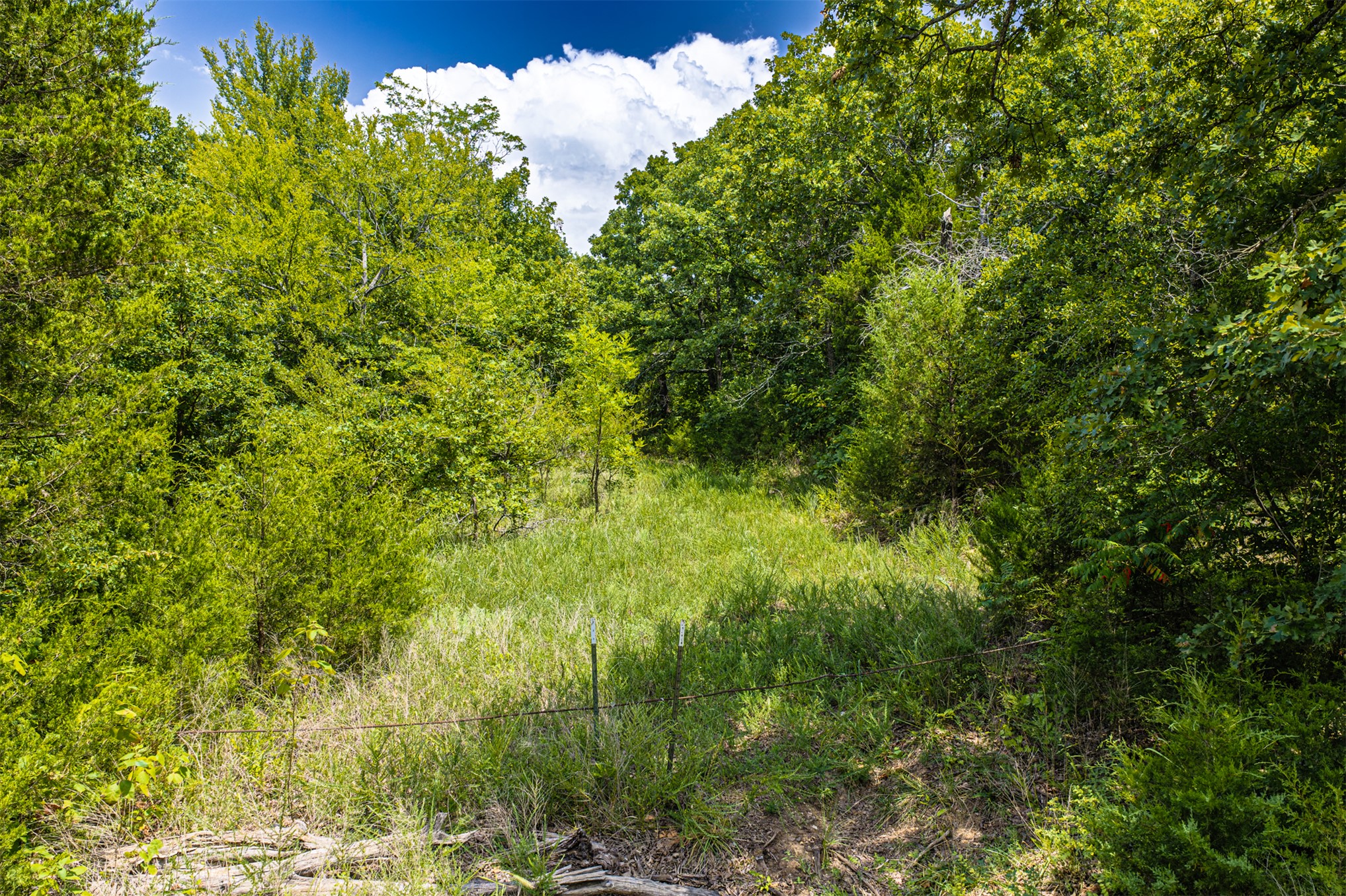001 N 364 Road Property Photo 37