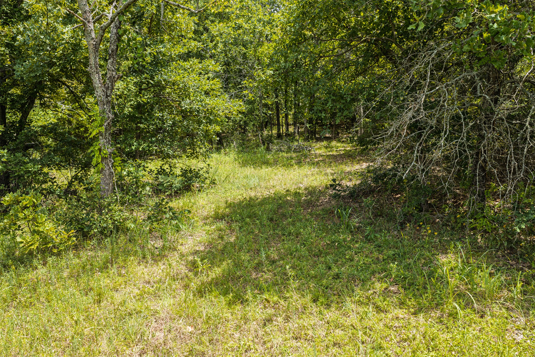 001 N 364 Road Property Photo 38