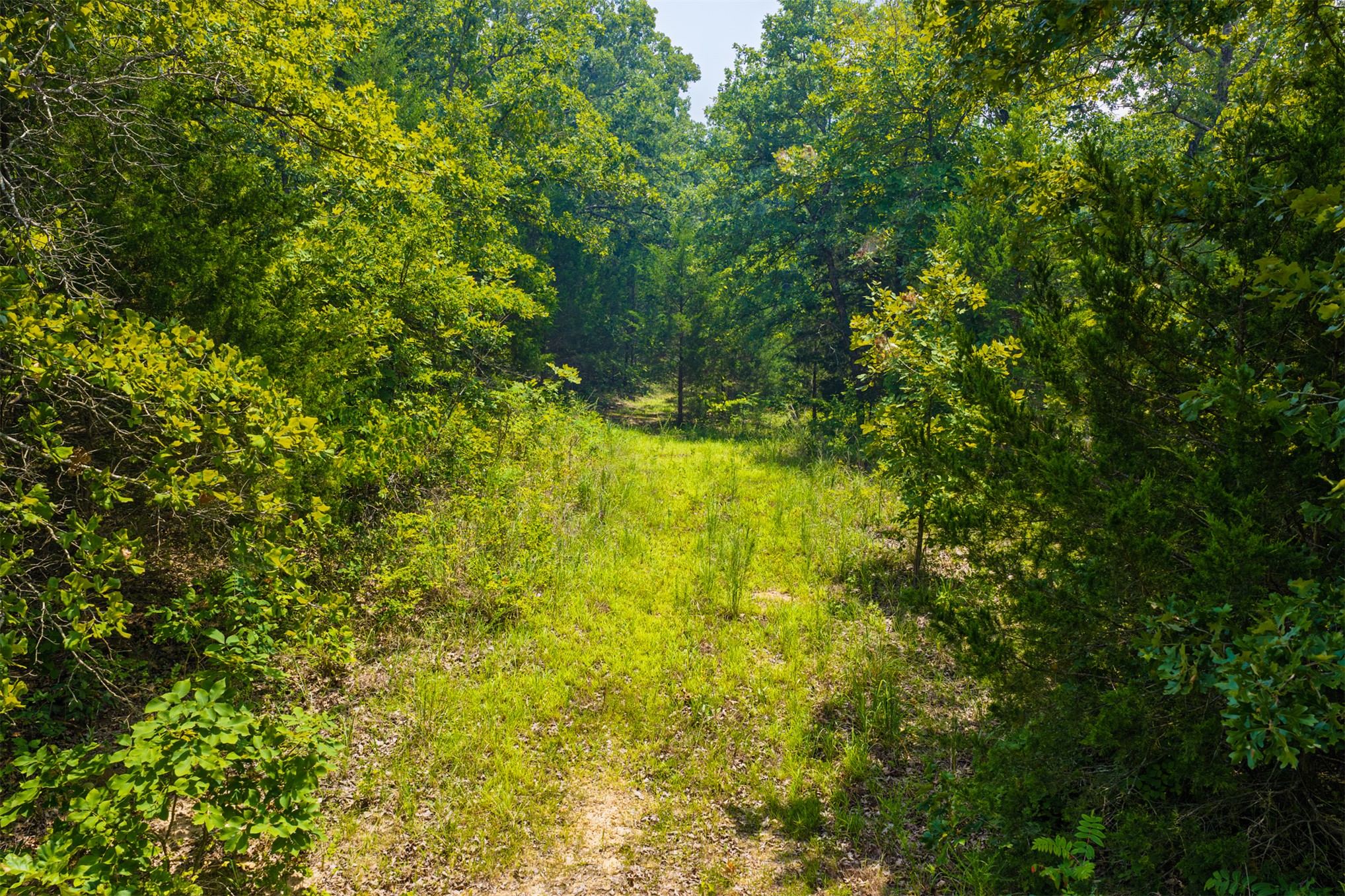 001 N 364 Road Property Photo 46