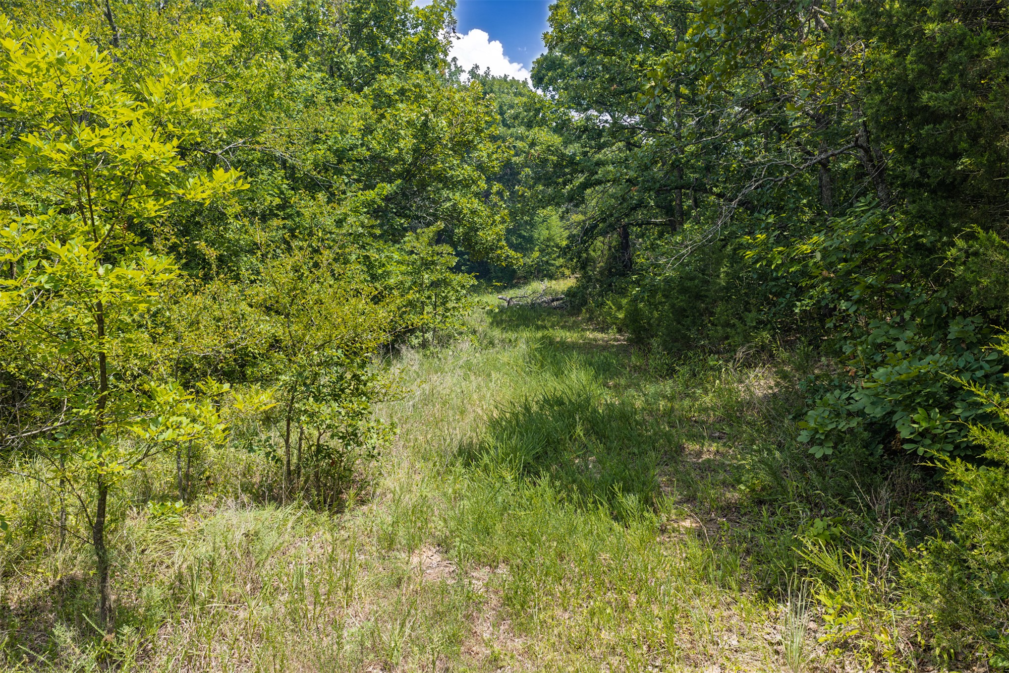 001 N 364 Road Property Photo 47