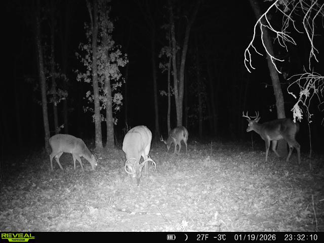 001 N 364 Road Property Photo 50