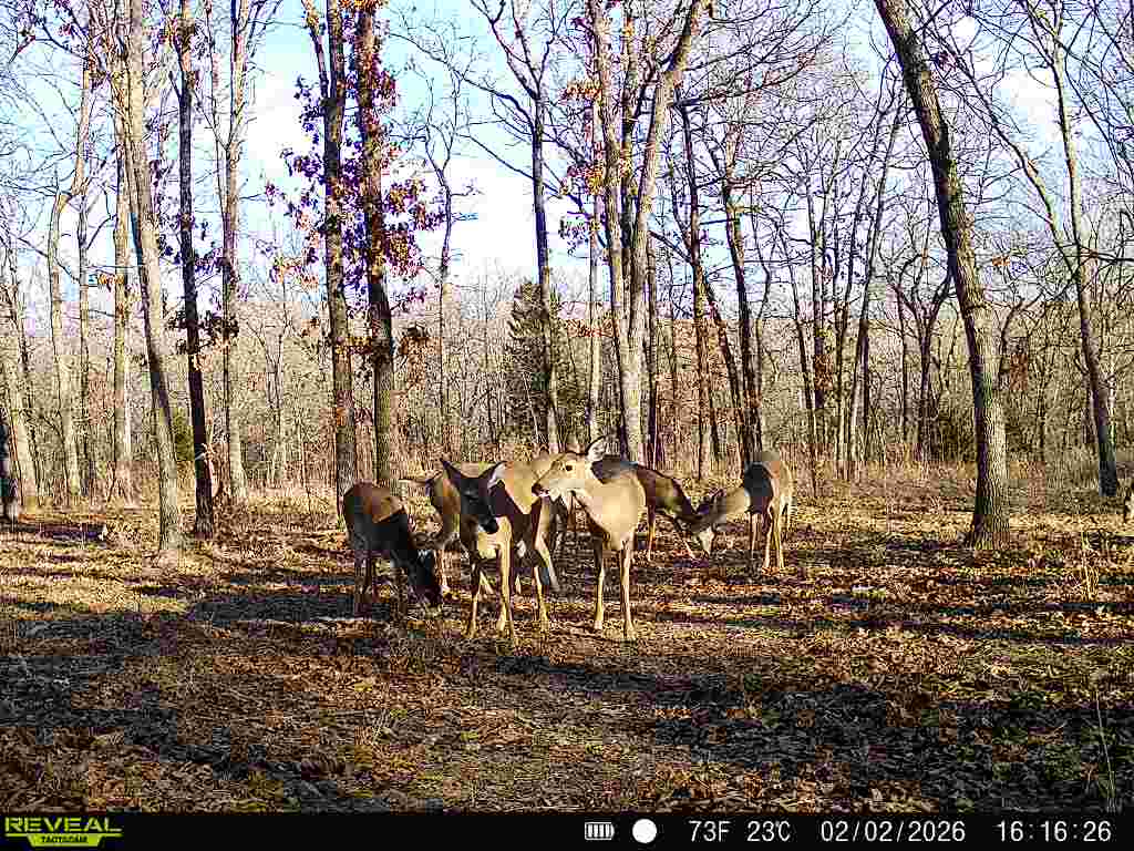 001 N 364 Road Property Photo 52