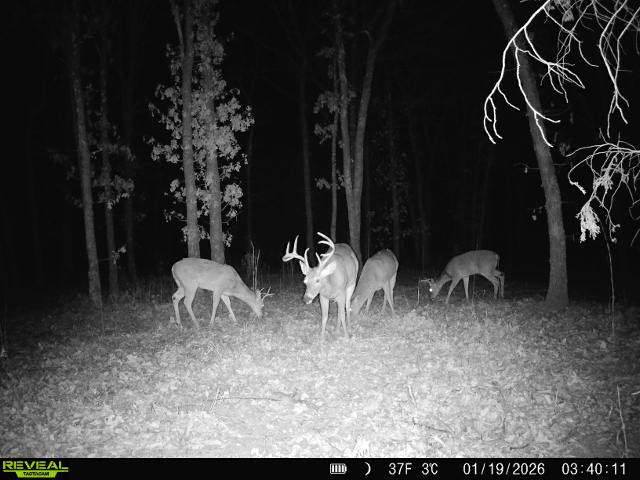 001 N 364 Road Property Photo 54
