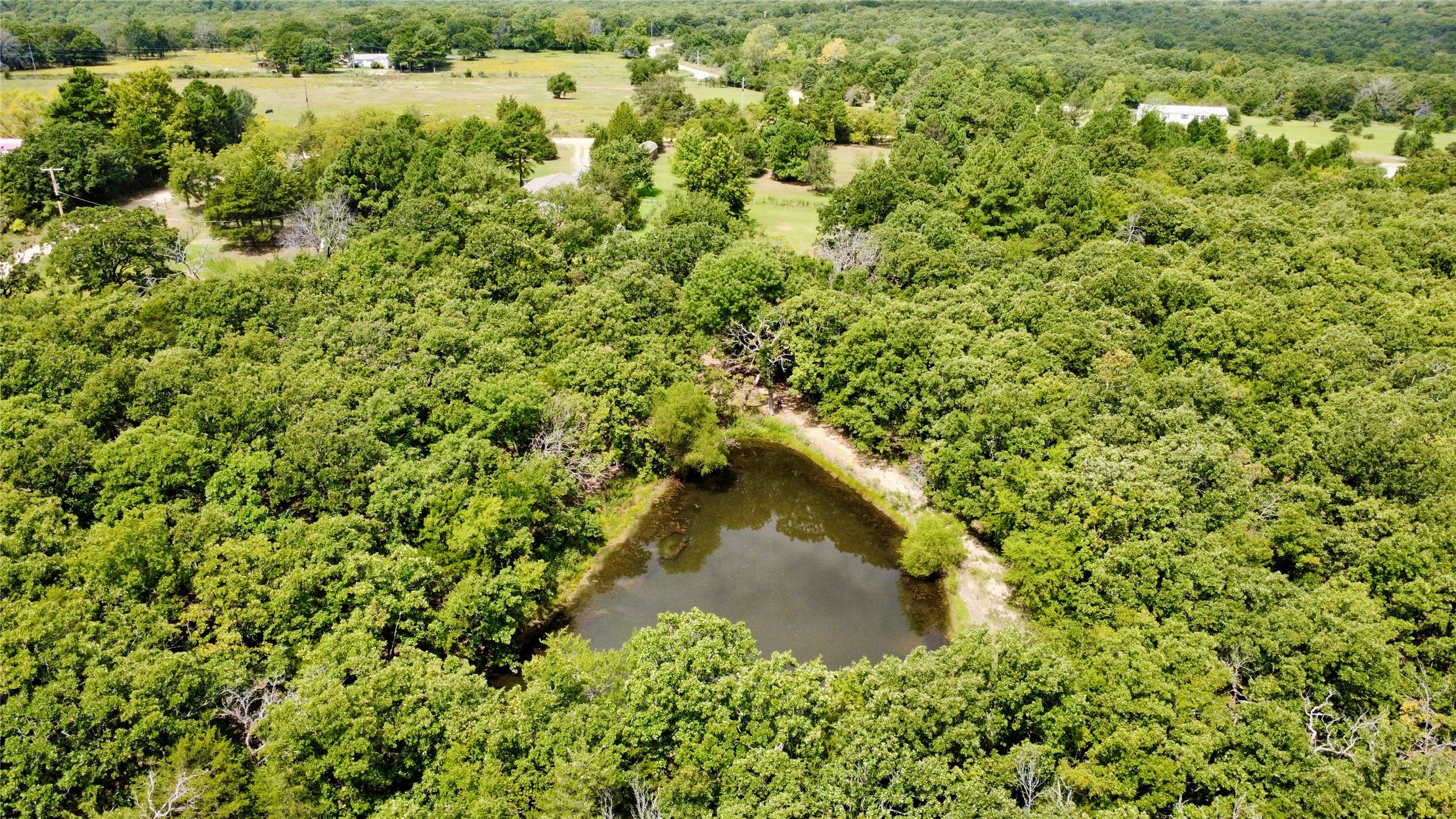 8492 Hickory Lane Property Photo 15