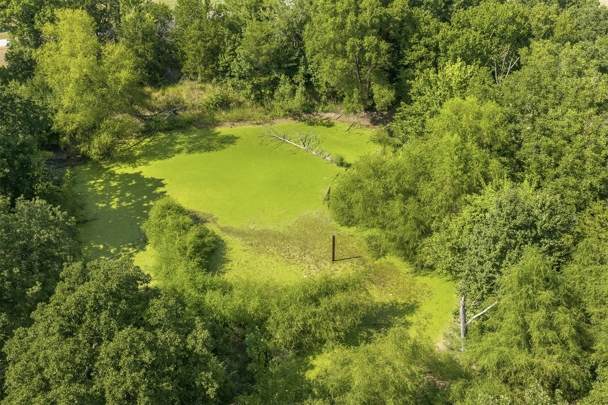 11754 Us Highway 77 Property Photo 39
