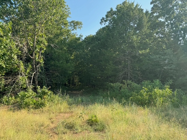 0 E 750 Road Property Photo 1