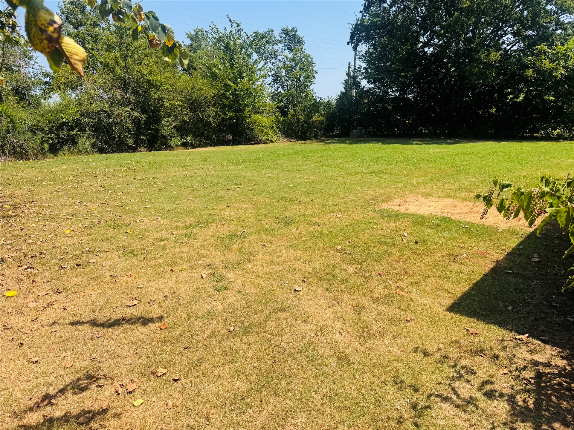 6350 Border Avenue Property Photo 12