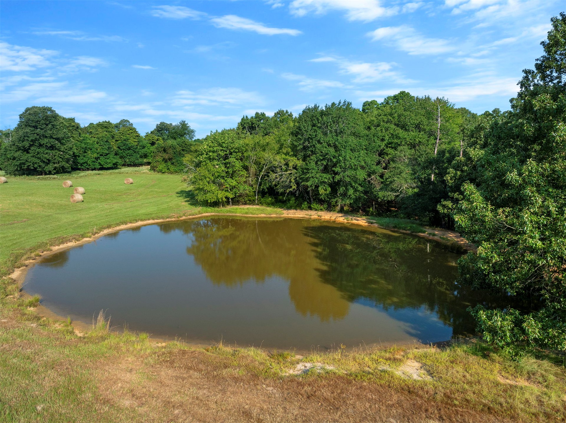 415203 Cornelius Road Property Photo 59