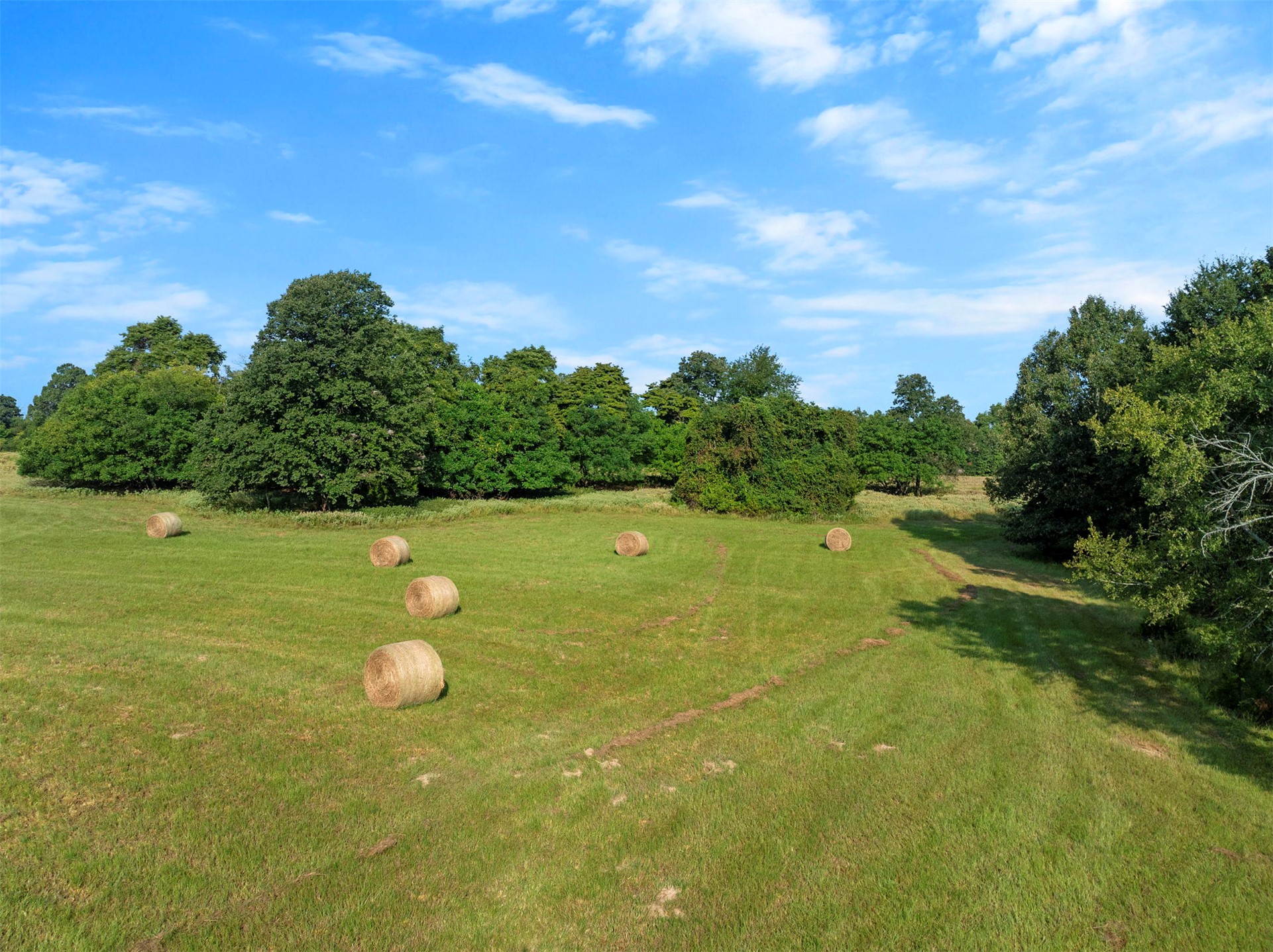 415203 Cornelius Road Property Photo 61