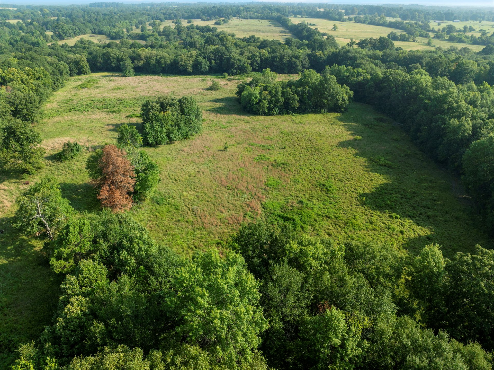 415203 Cornelius Road Property Photo 62