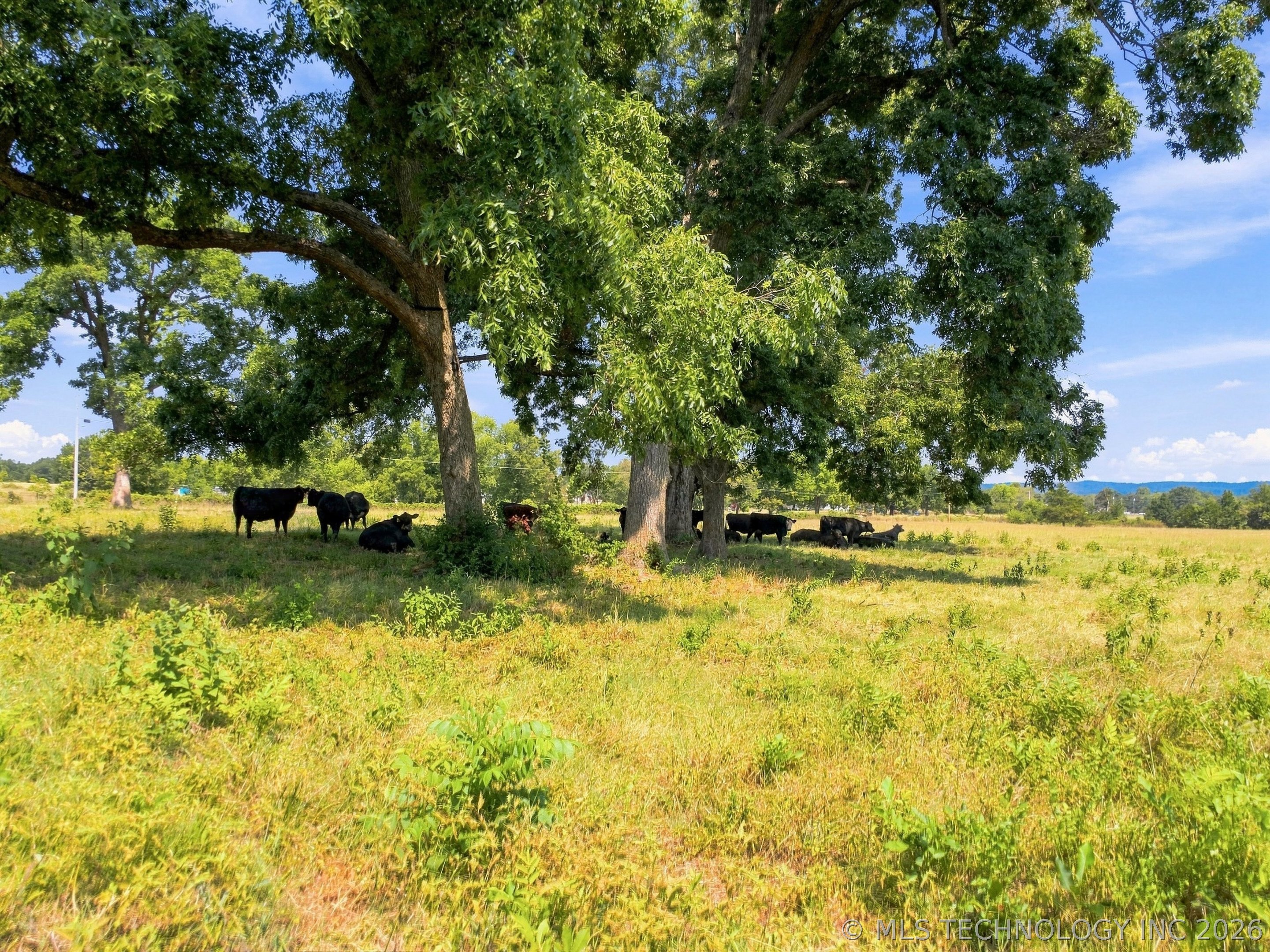 26470 S 650 Road Property Photo 37