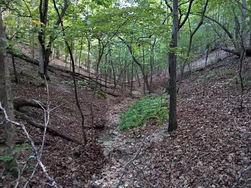464058 Taylor Ridge Road Property Photo 11