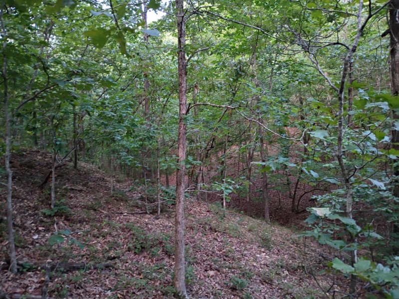 464058 Taylor Ridge Road Property Photo 12