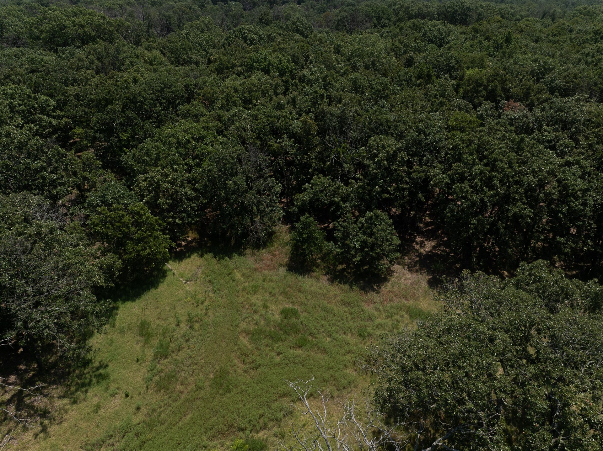 4290 Road Property Photo 15