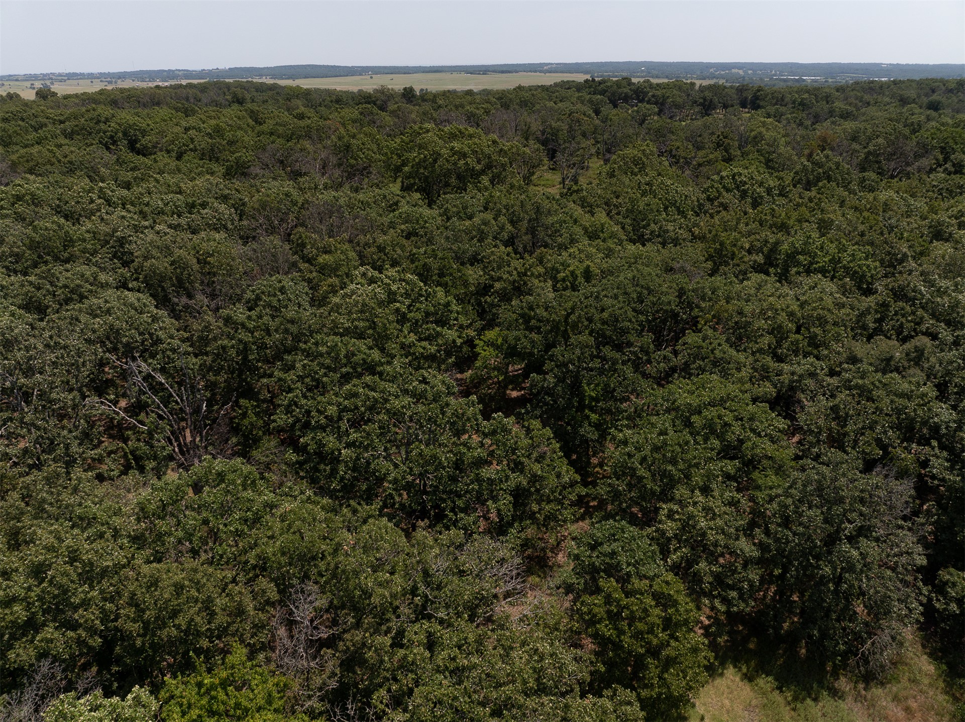 4290 Road Property Photo 17