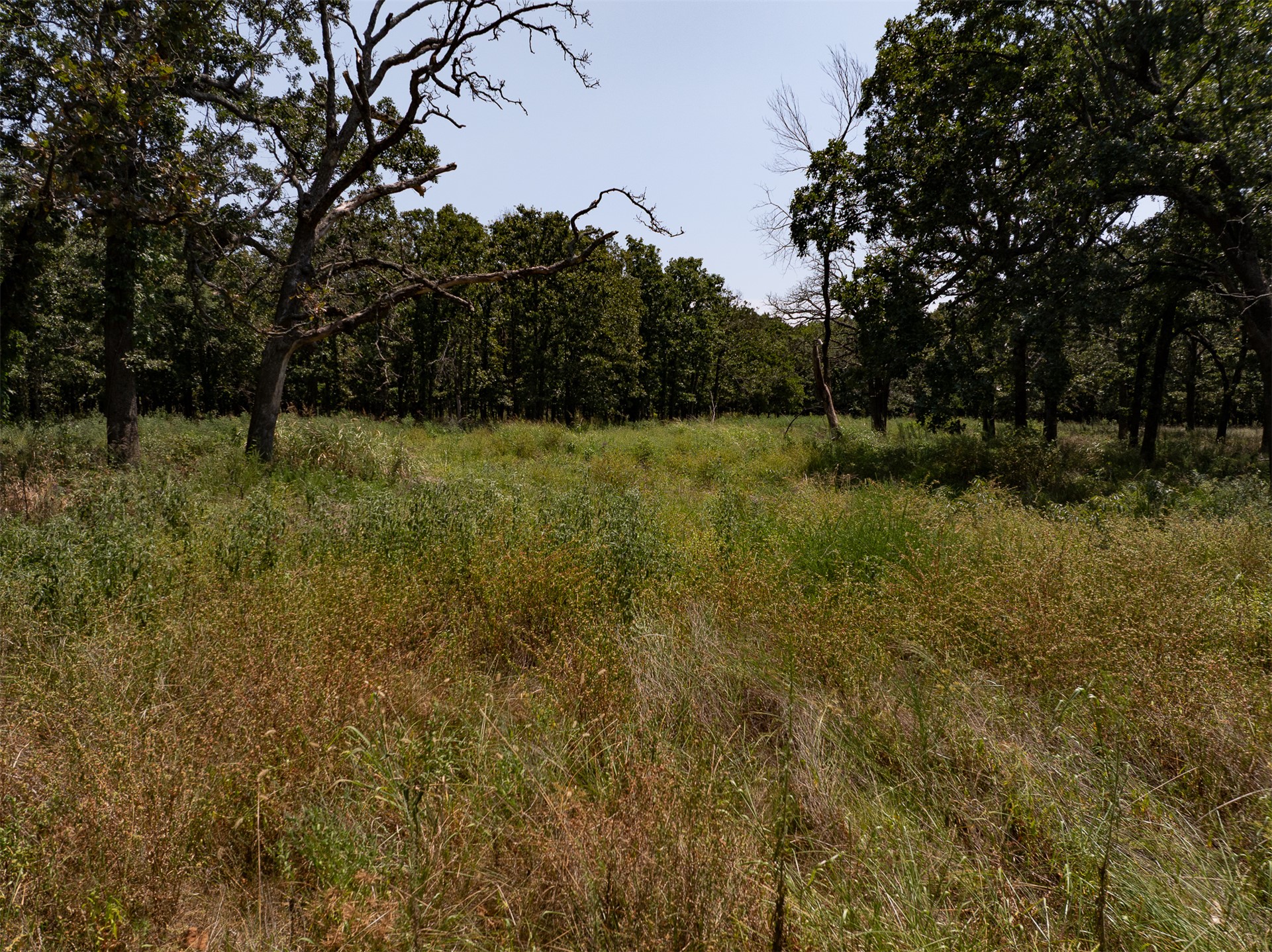 4290 Road Property Photo 20