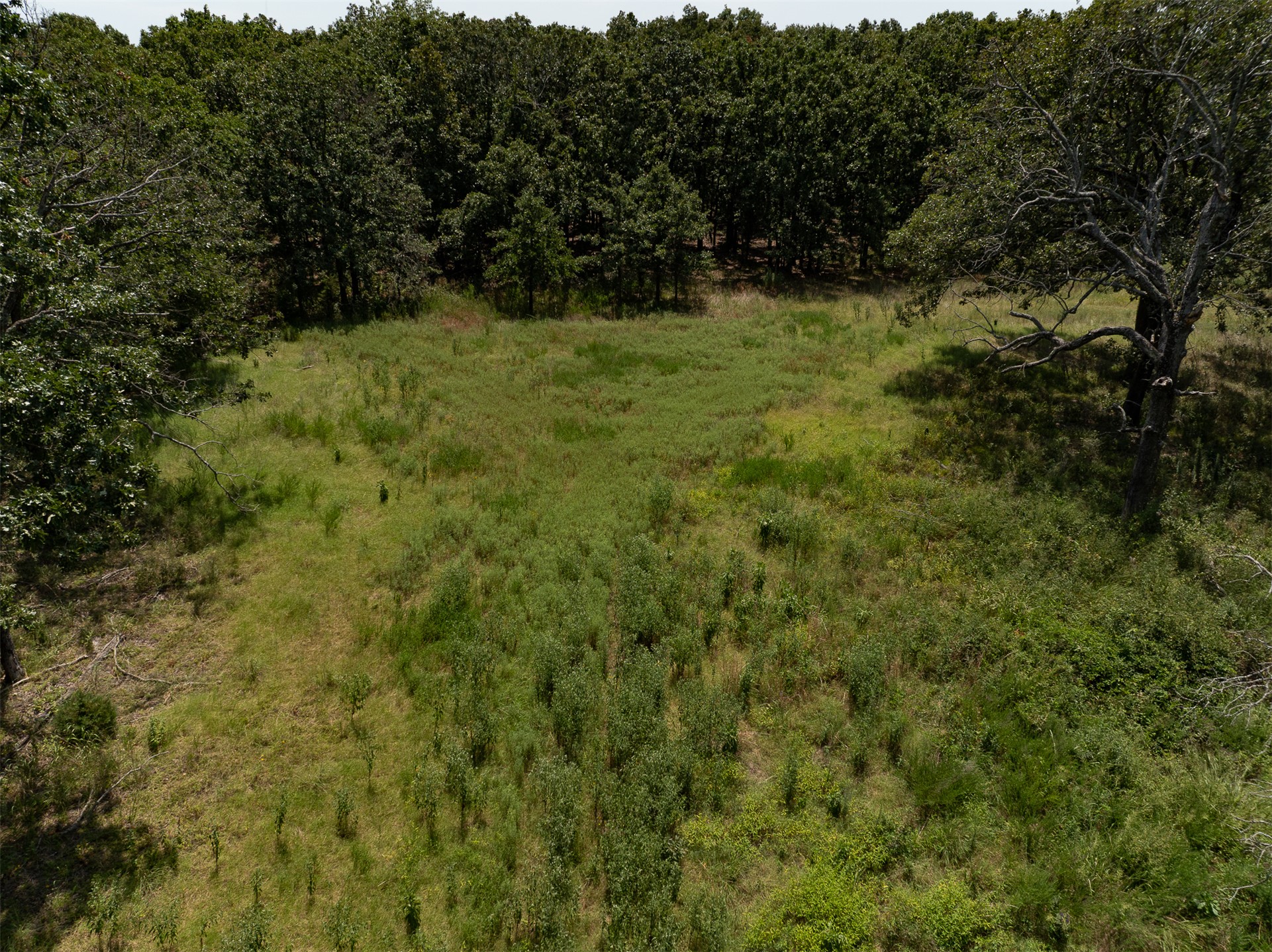 4290 Road Property Photo 21