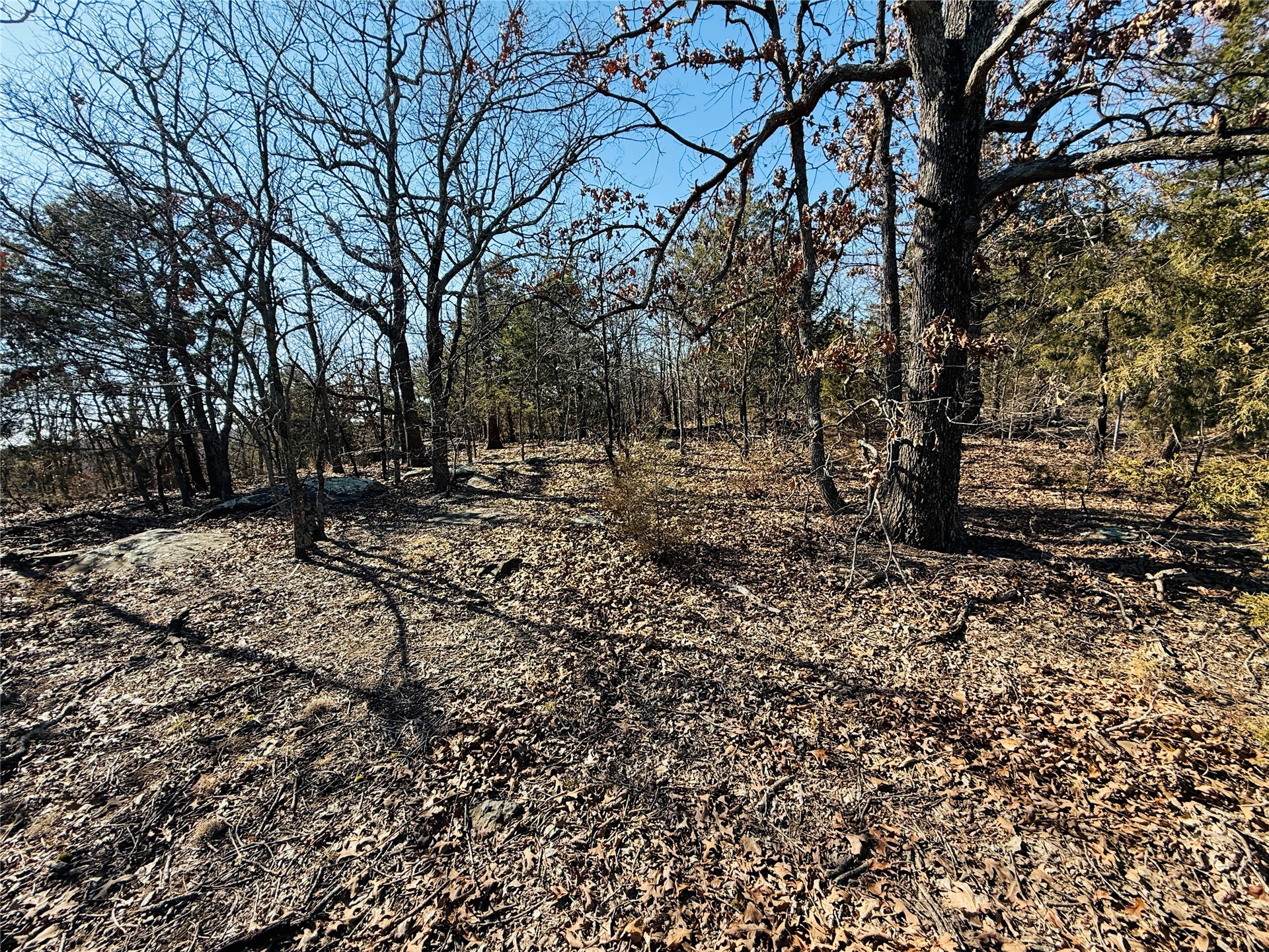 Mountain View Road Property Photo 2