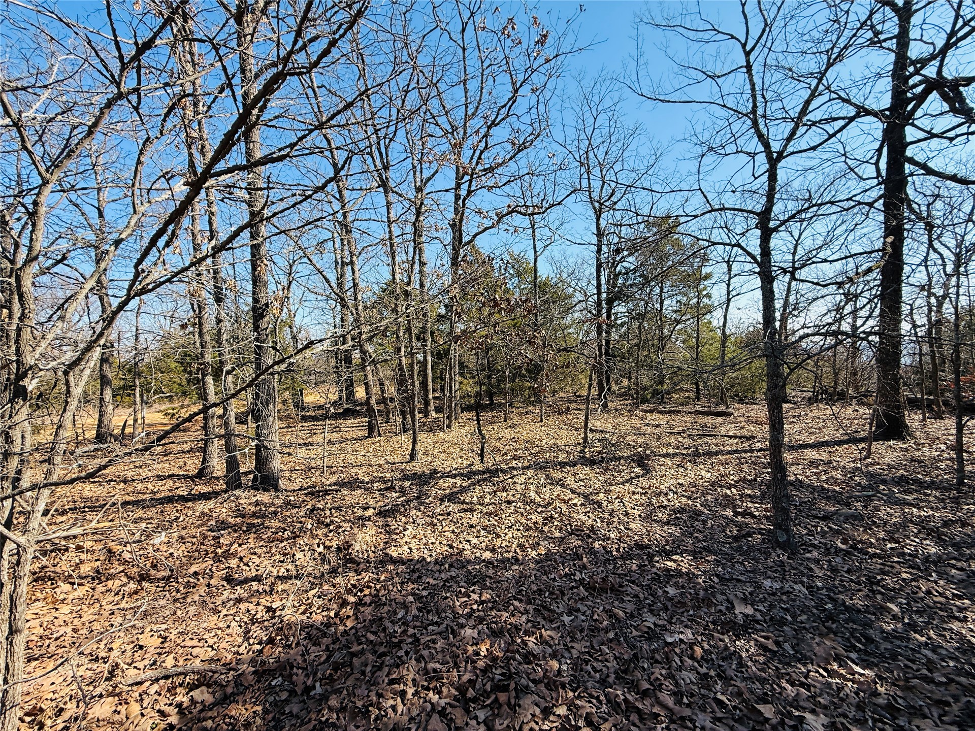 Mountain View Road Property Photo 5