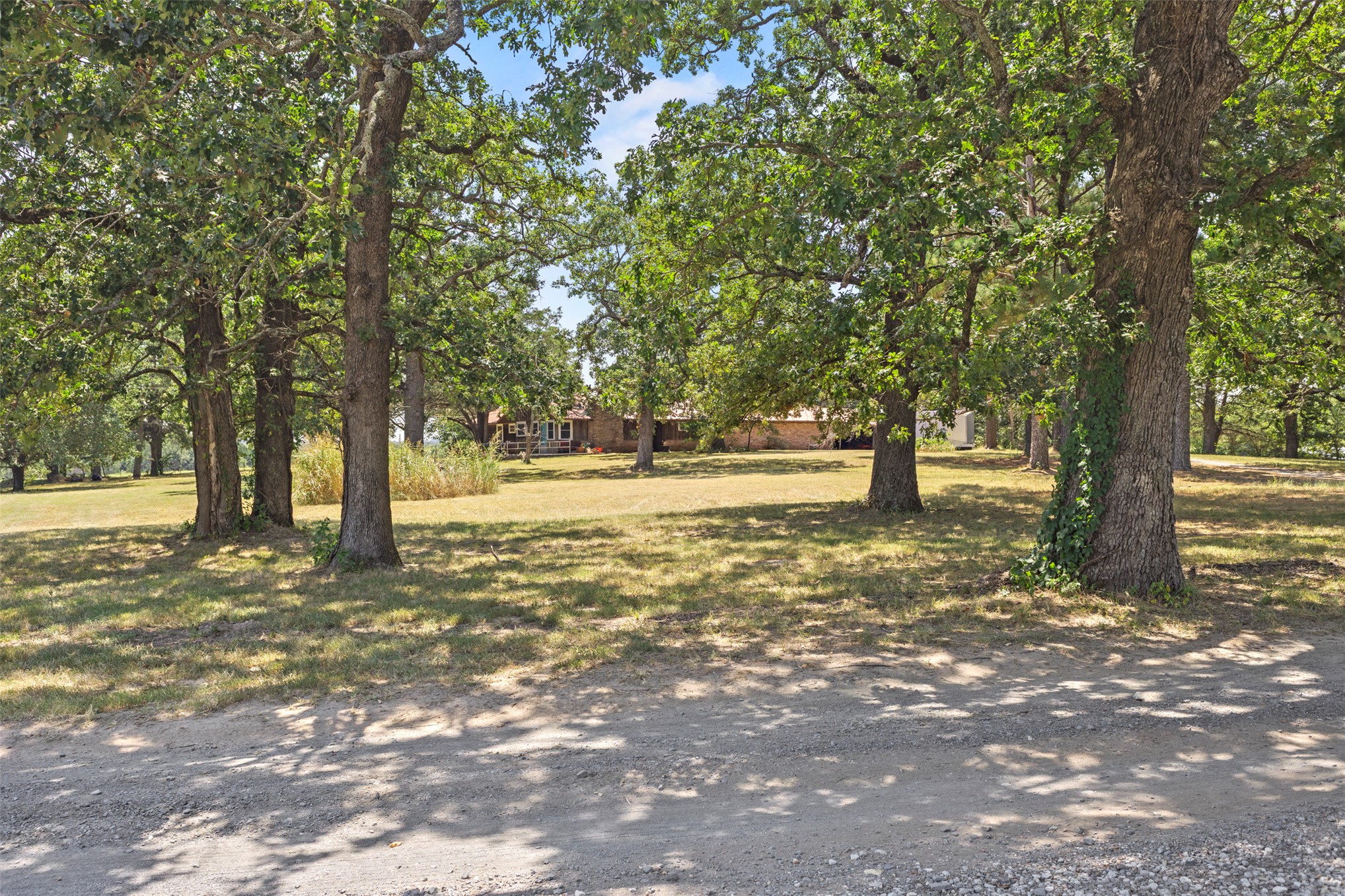 16445 County Road 1460 Property Photo 28