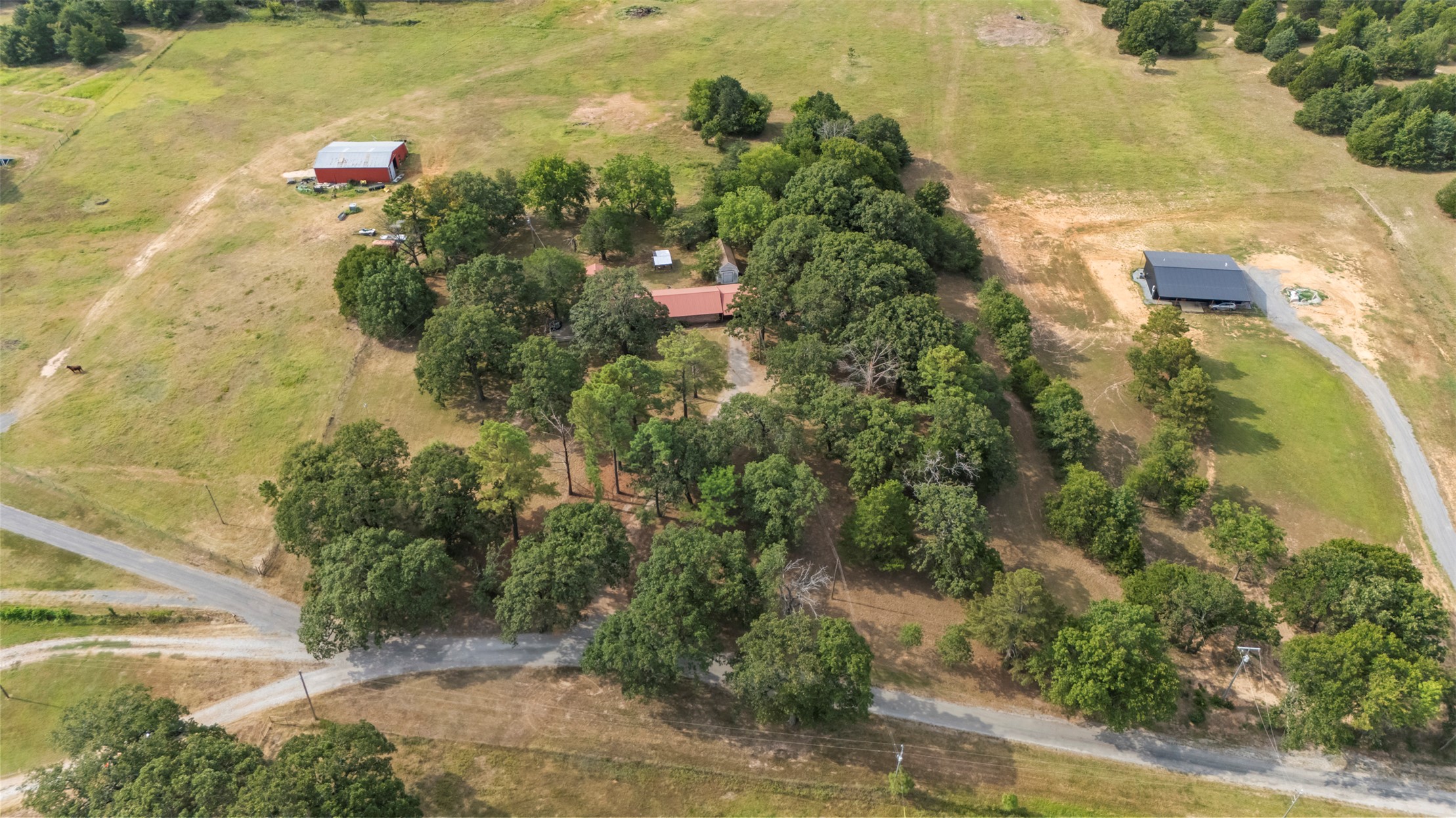 16445 County Road 1460 Property Photo 41