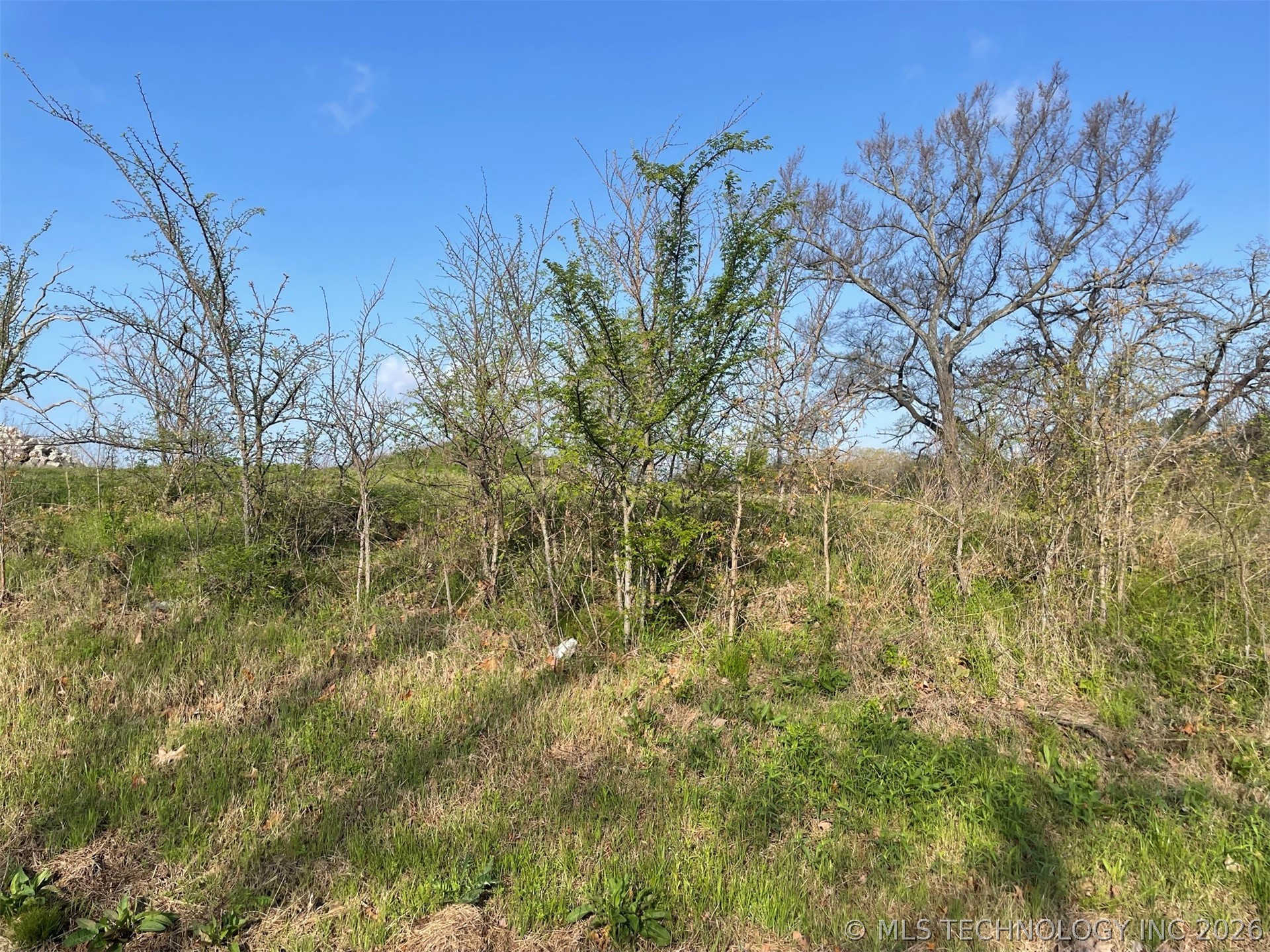 0 Oak Hills Drive Property Photo 5