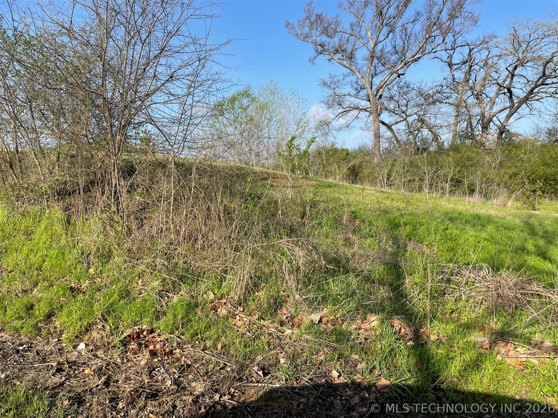 0 Oak Hills Drive Property Photo 6