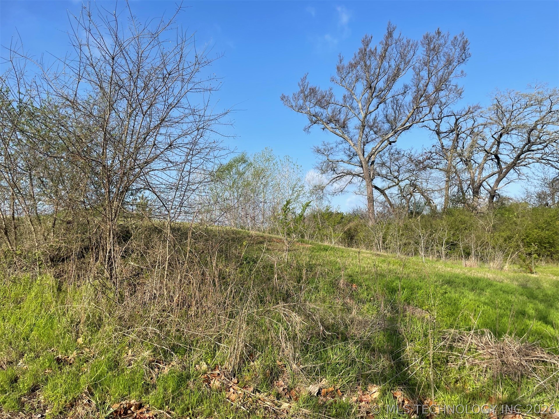 0 Oak Hills Drive Property Photo 7