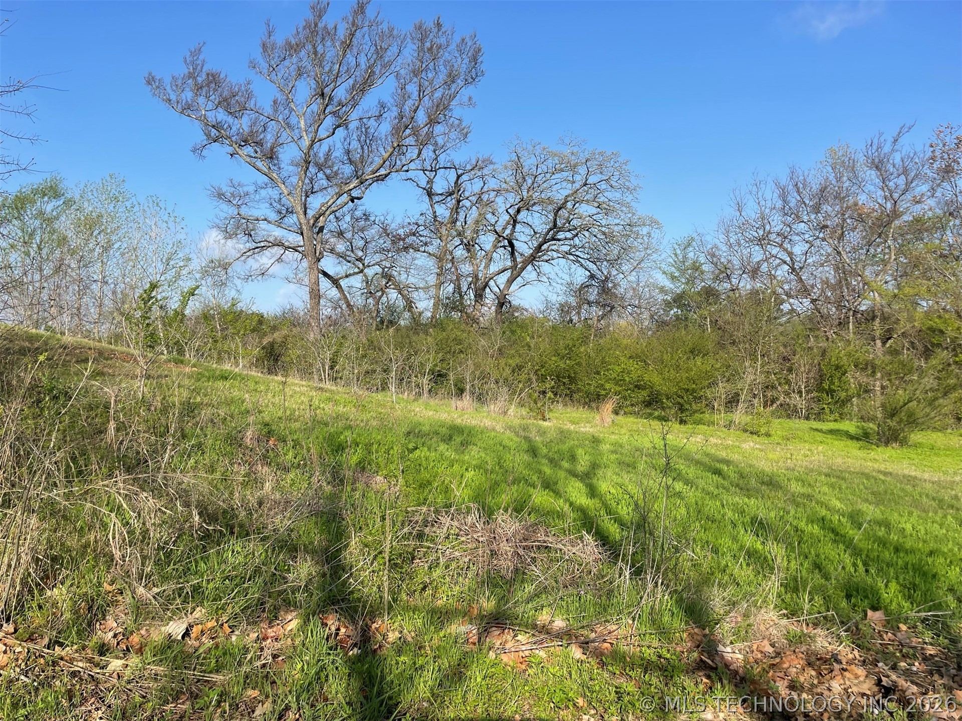 0 Oak Hills Drive Property Photo 8