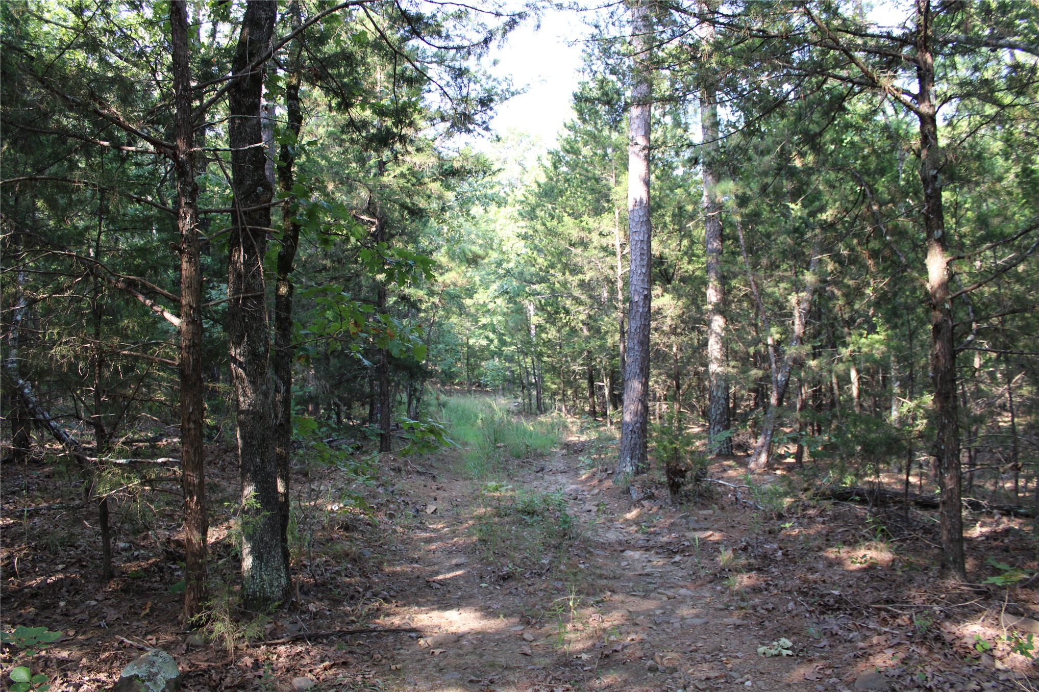Hwy 1 Highway Property Photo 2