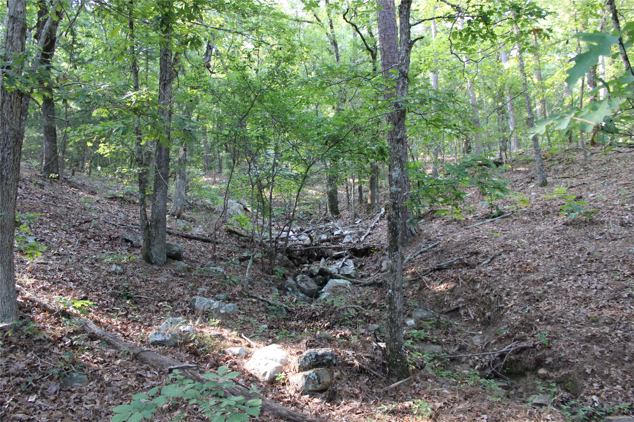 Hwy 1 Highway Property Photo 4