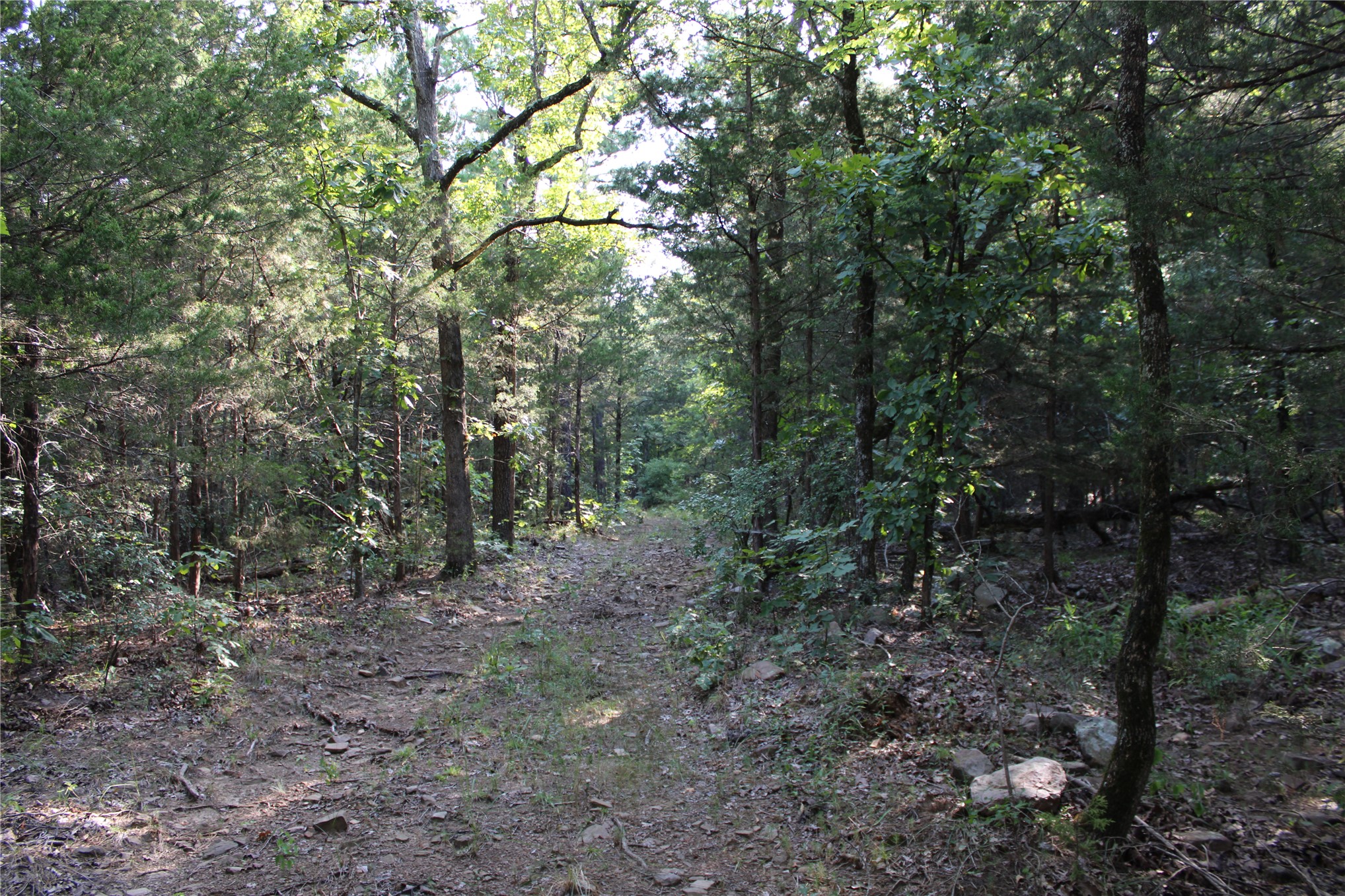 Hwy 1 Highway Property Photo 7