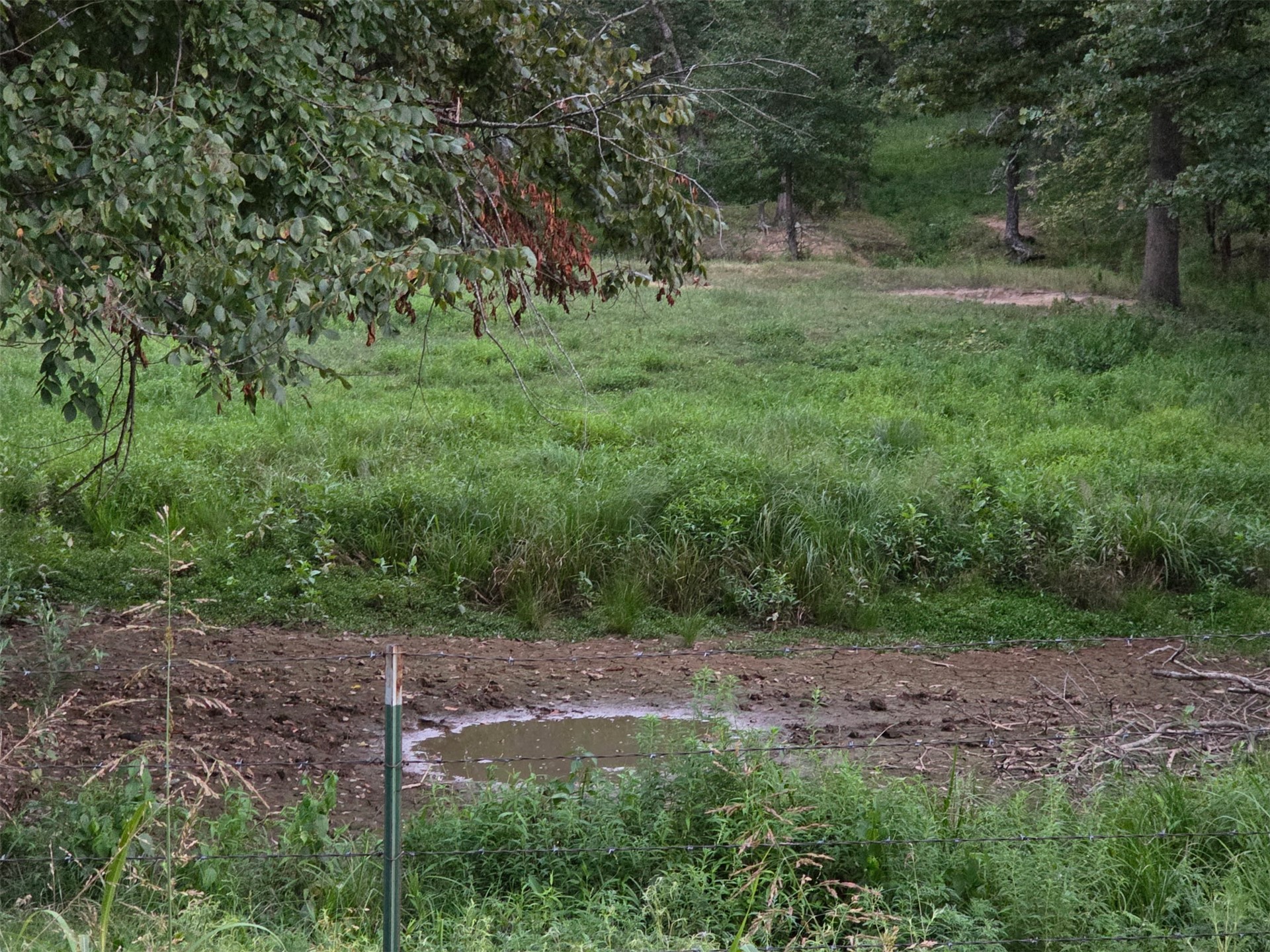 E 460 Road Property Photo 3