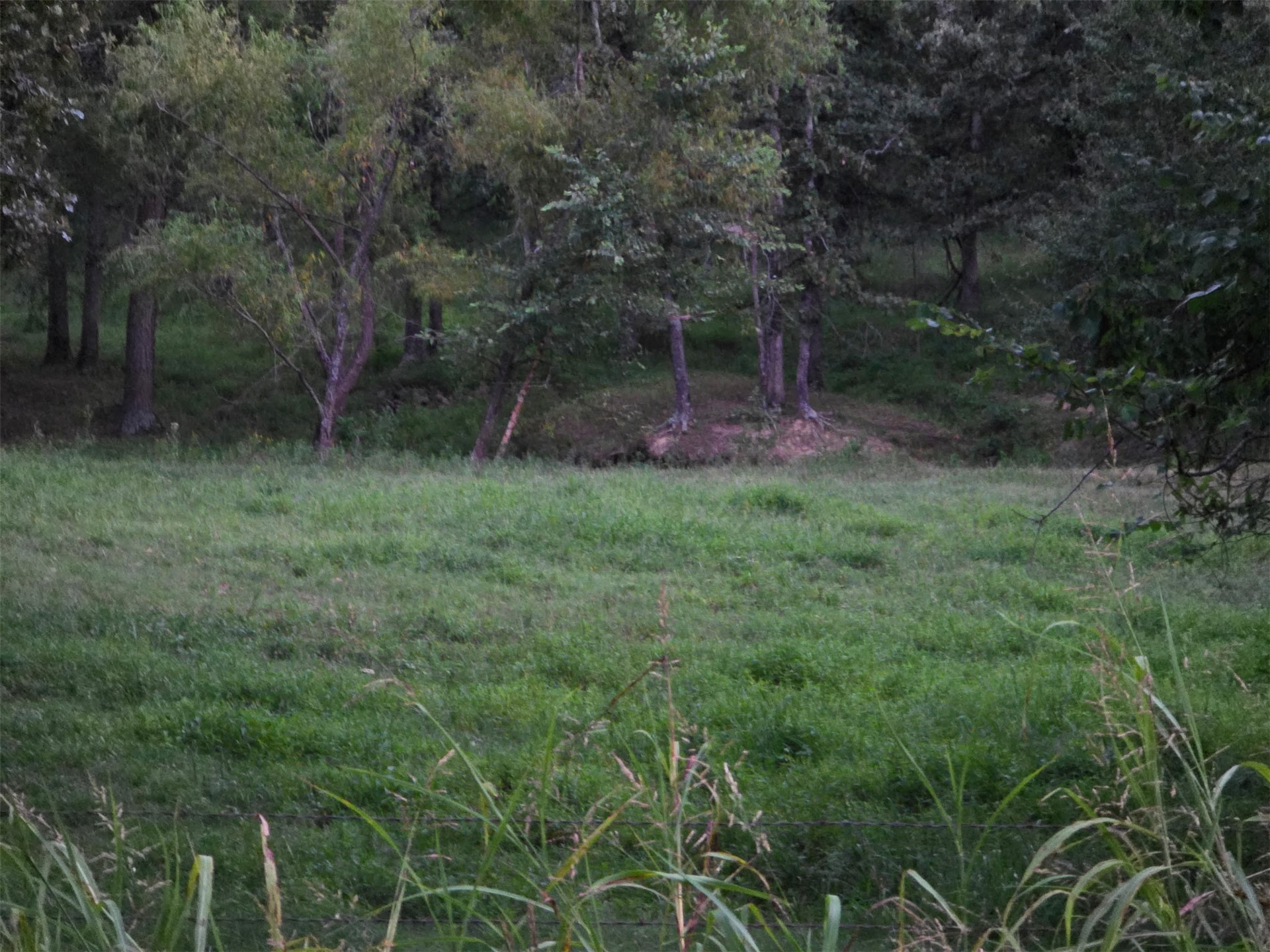 E 460 Road Property Photo 7