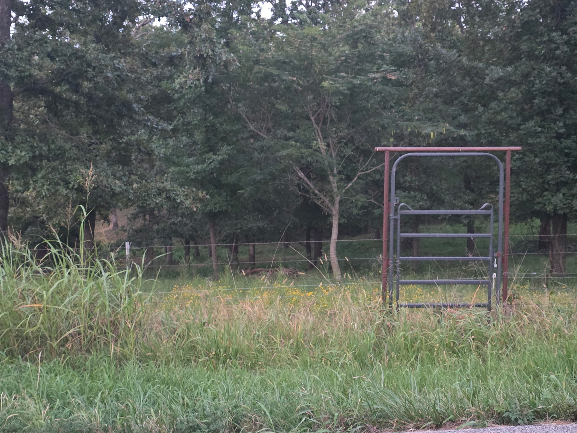 E 460 Road Property Photo 9